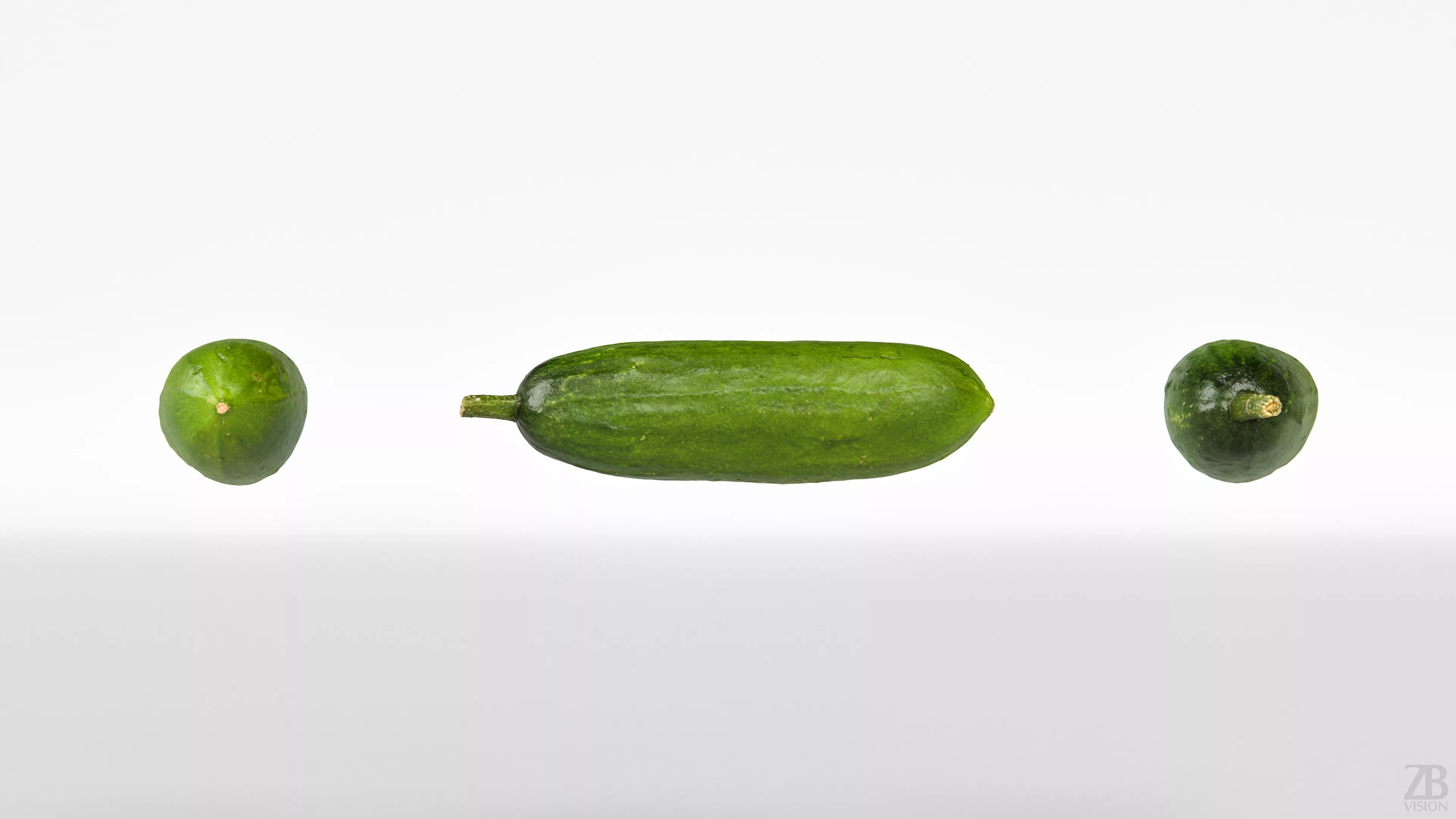 Cucumber 3D model_4