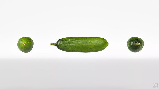 Cucumber 3D model 5