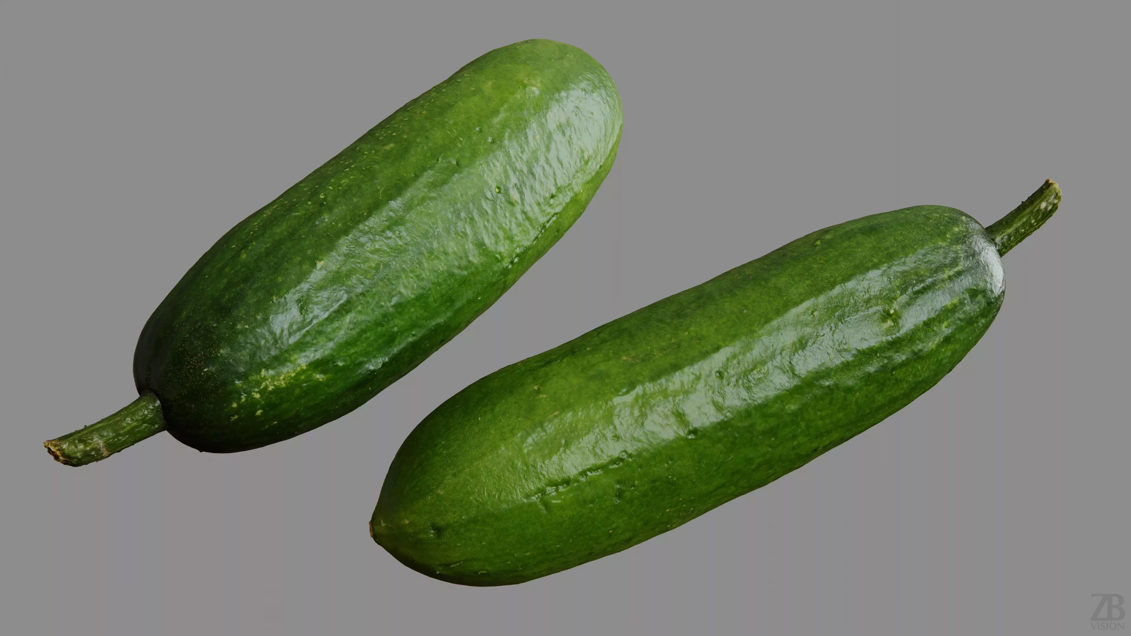 Cucumber 3D model_9