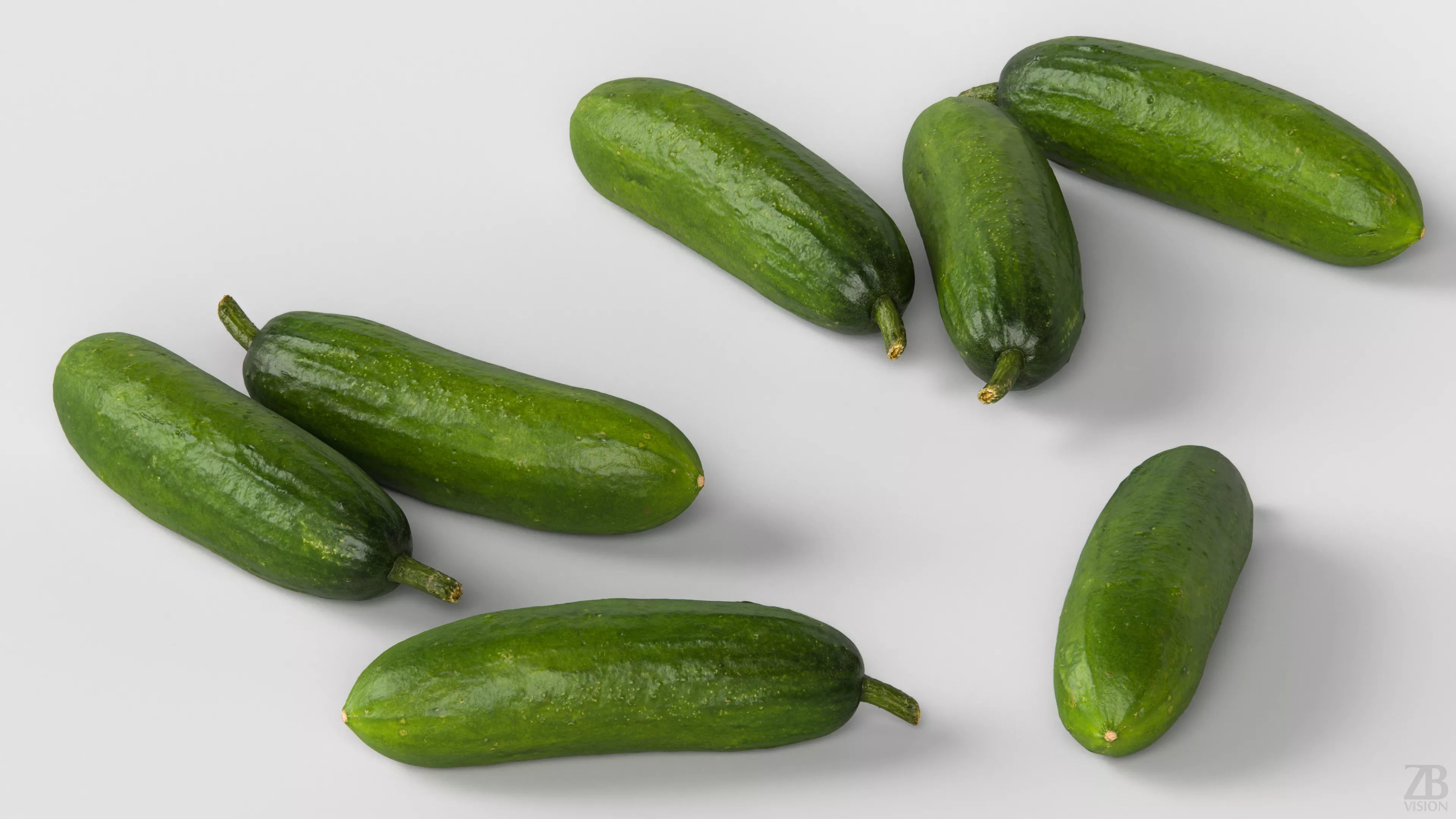 Cucumber 3D model_2