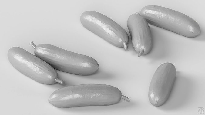 Cucumber 3D model 4