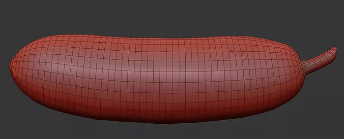 Cucumber 3D model 7