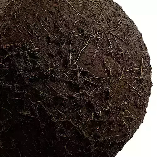 Grass Seamless Texture 2K - EXR 5 - JPG 5 Texture