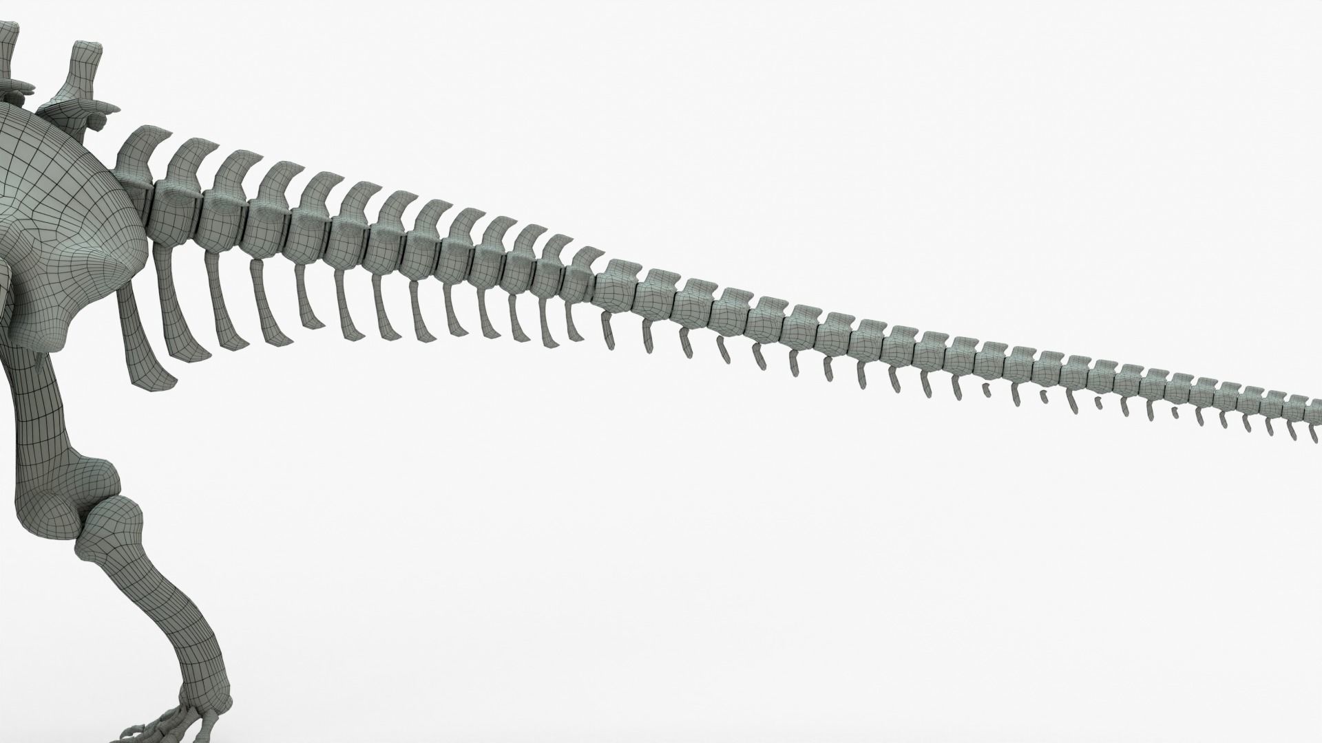 Argentinosaurus Rigged Skeleton Low-poly 3D model_10