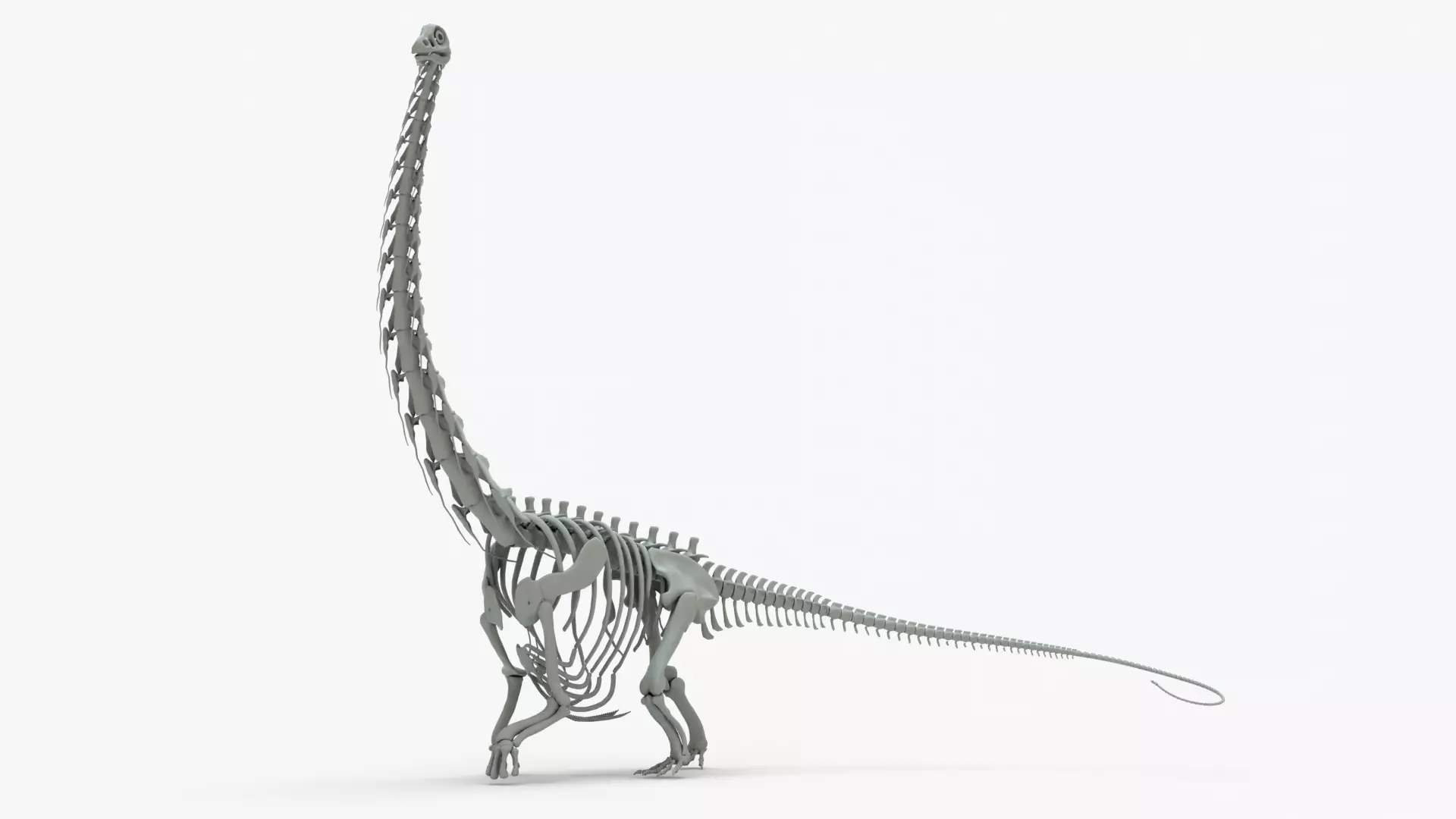 Argentinosaurus Rigged Skeleton Low-poly 3D model_0