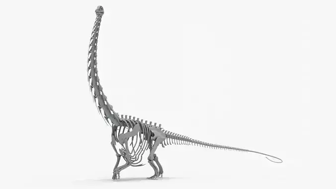 Argentinosaurus Rigged Skeleton