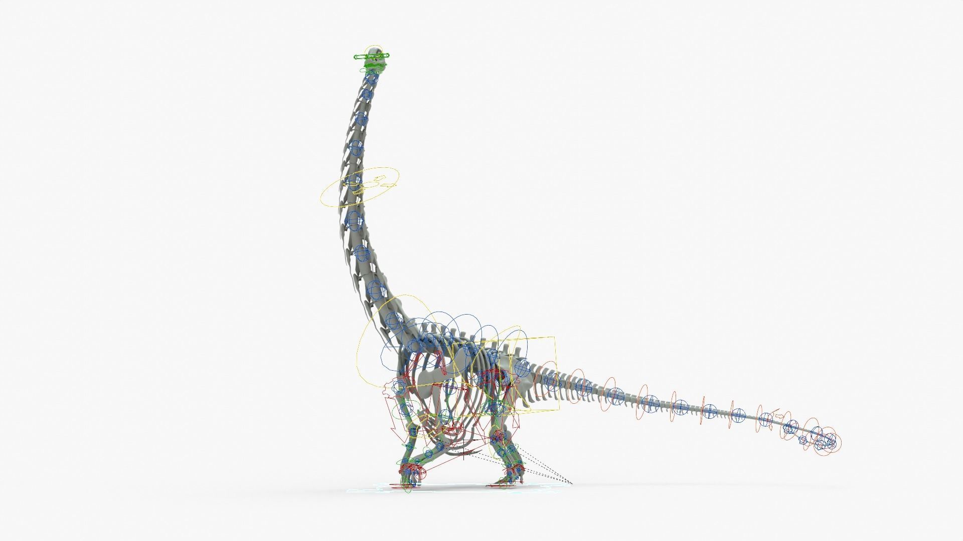 Argentinosaurus Rigged Skeleton Low-poly 3D model_15