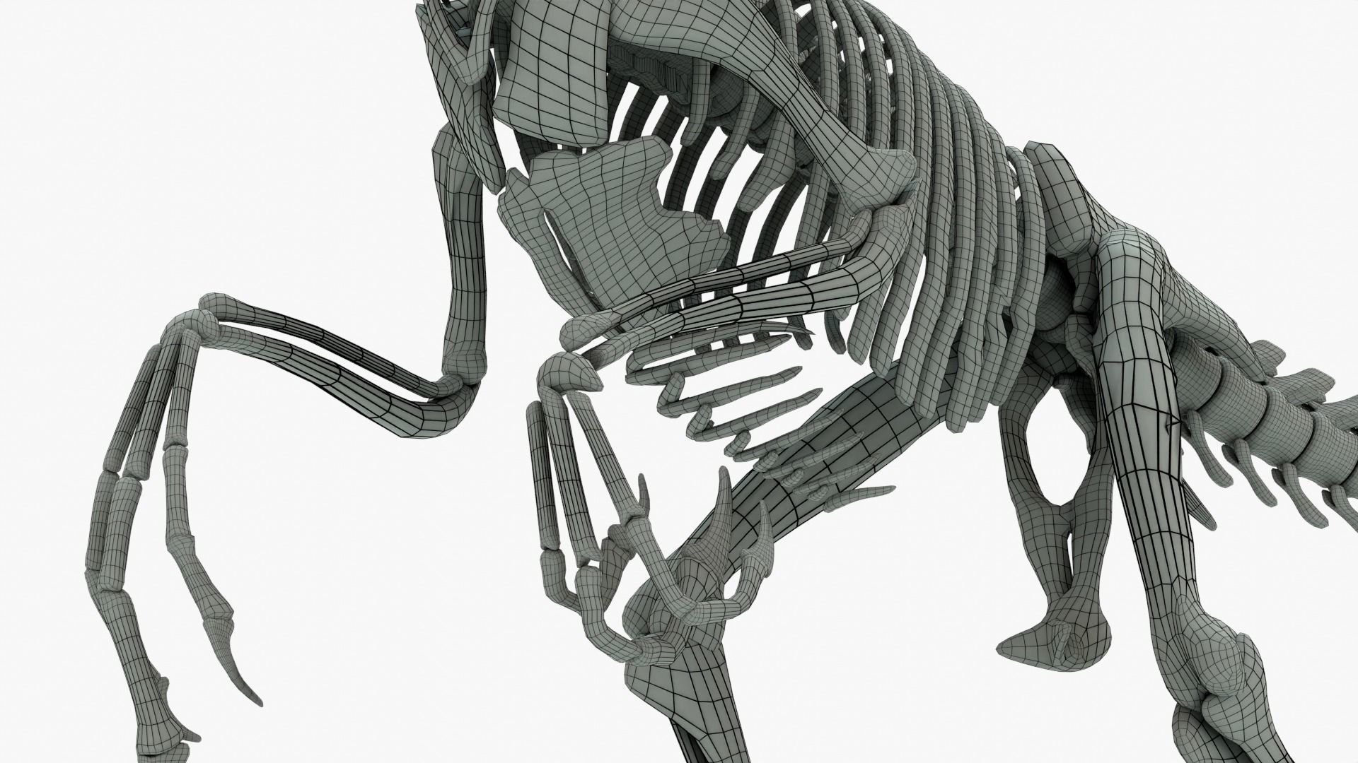 Atrociraptor Rigged Skeleton Low-poly 3D model_11