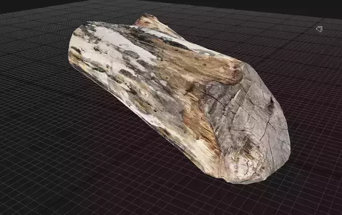 Tree trunk wood 3d scan in highpoly 3D model
