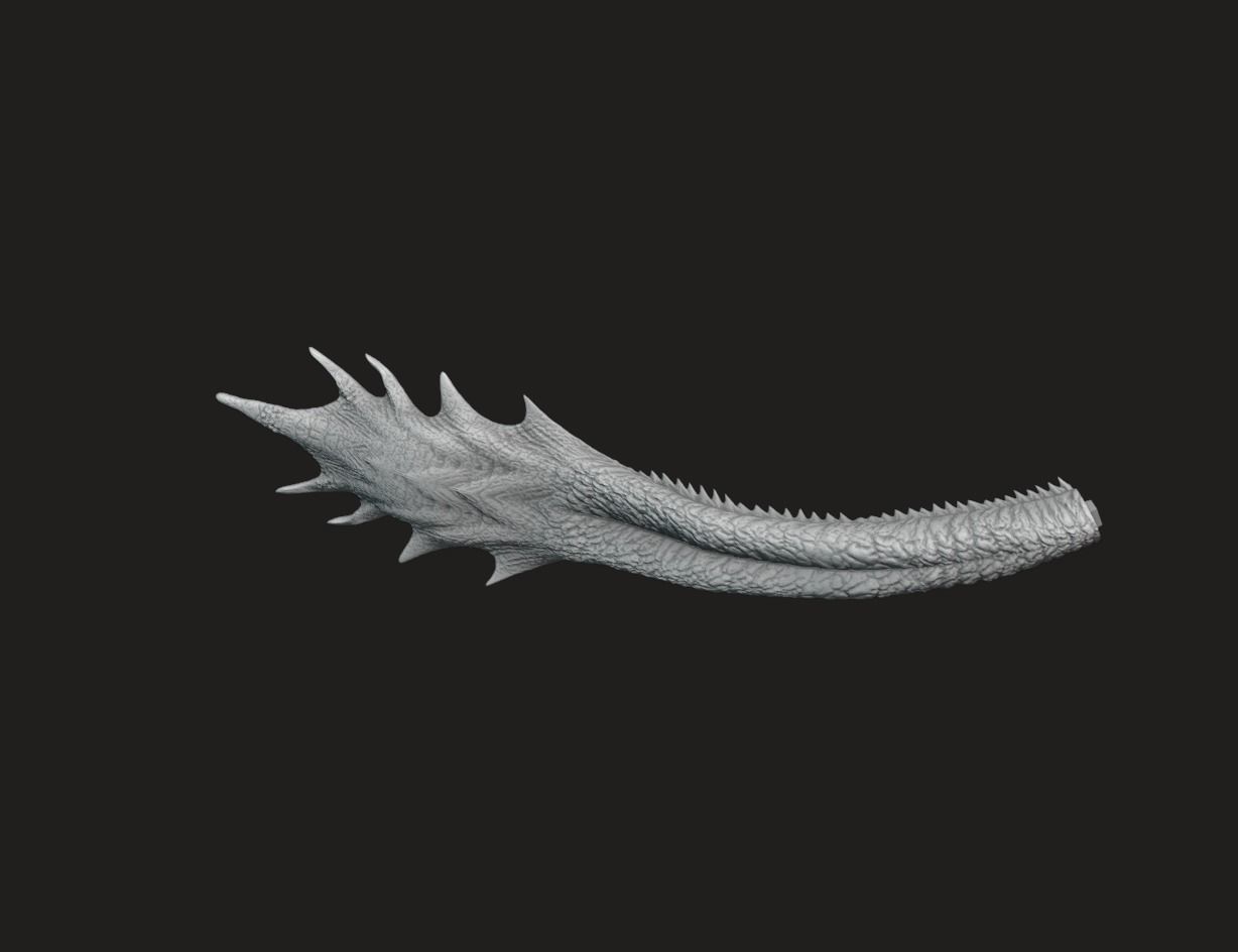 DRAGON 3D print model_17