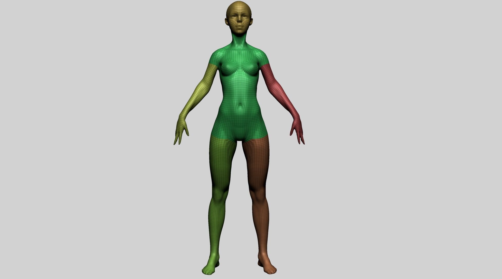 Stylized Female Anatomy - Base 3D model_13