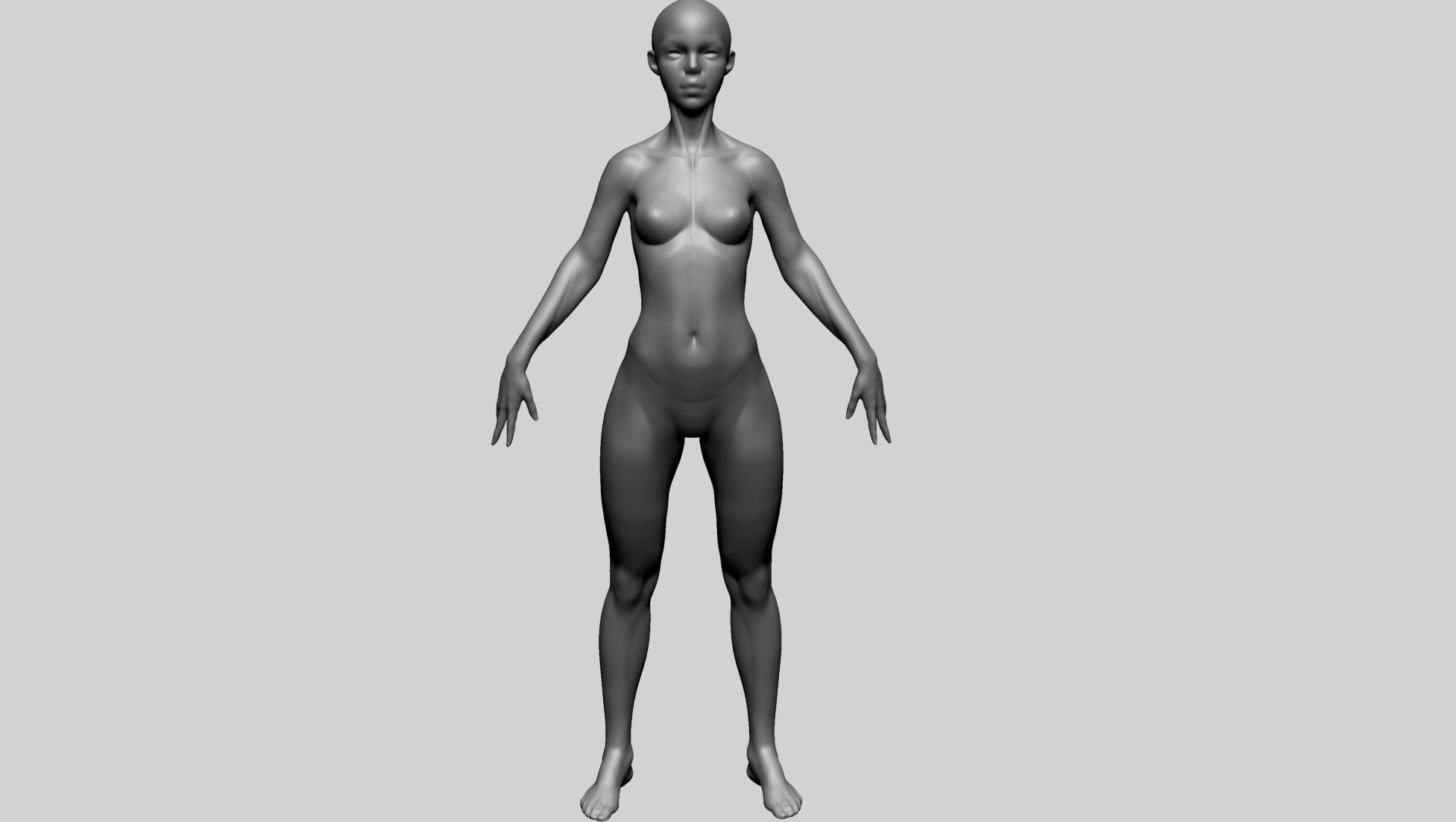 Stylized Female Anatomy - Base 3D model_8