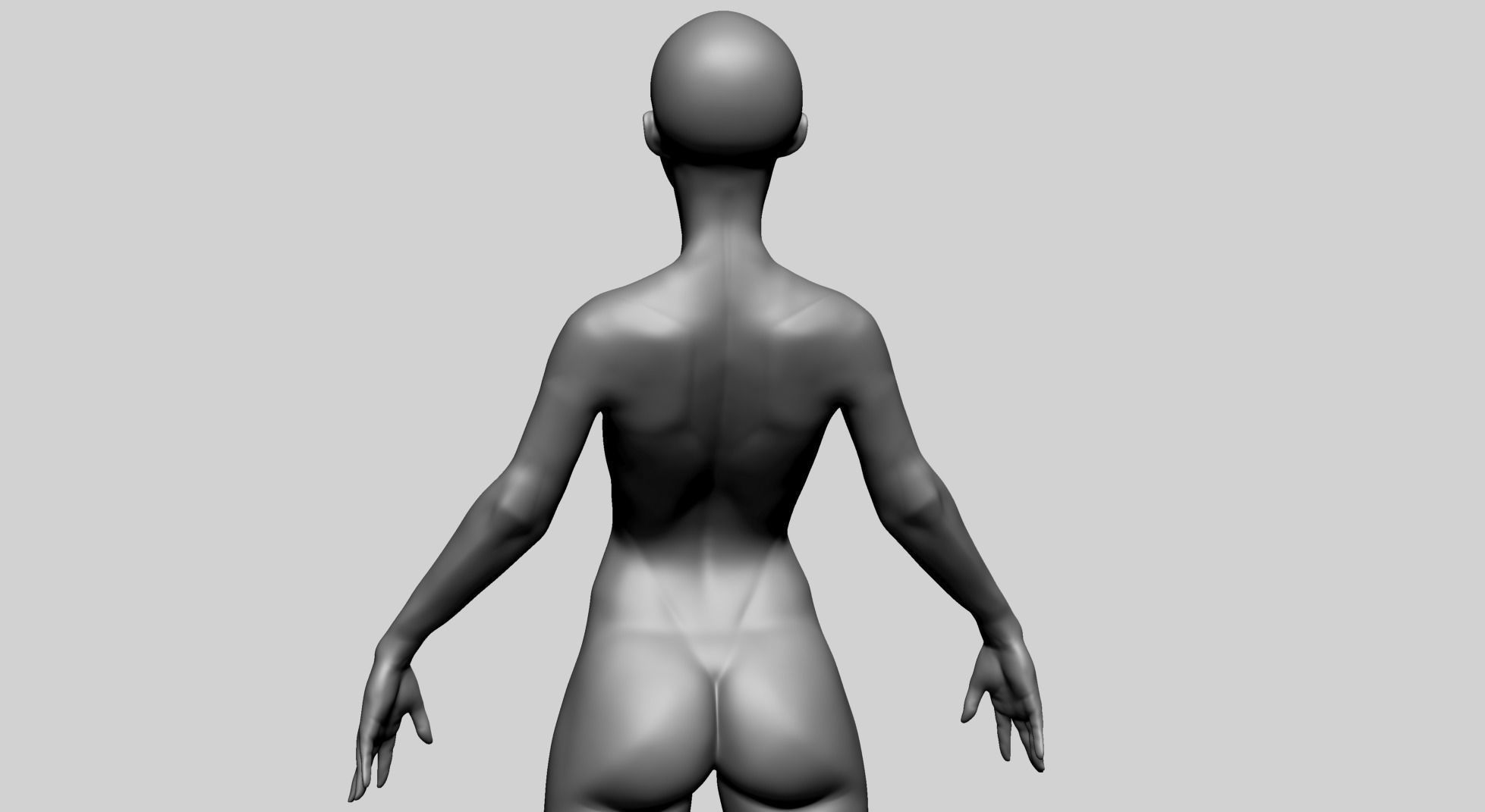 Stylized Female Anatomy - Base 3D model_10