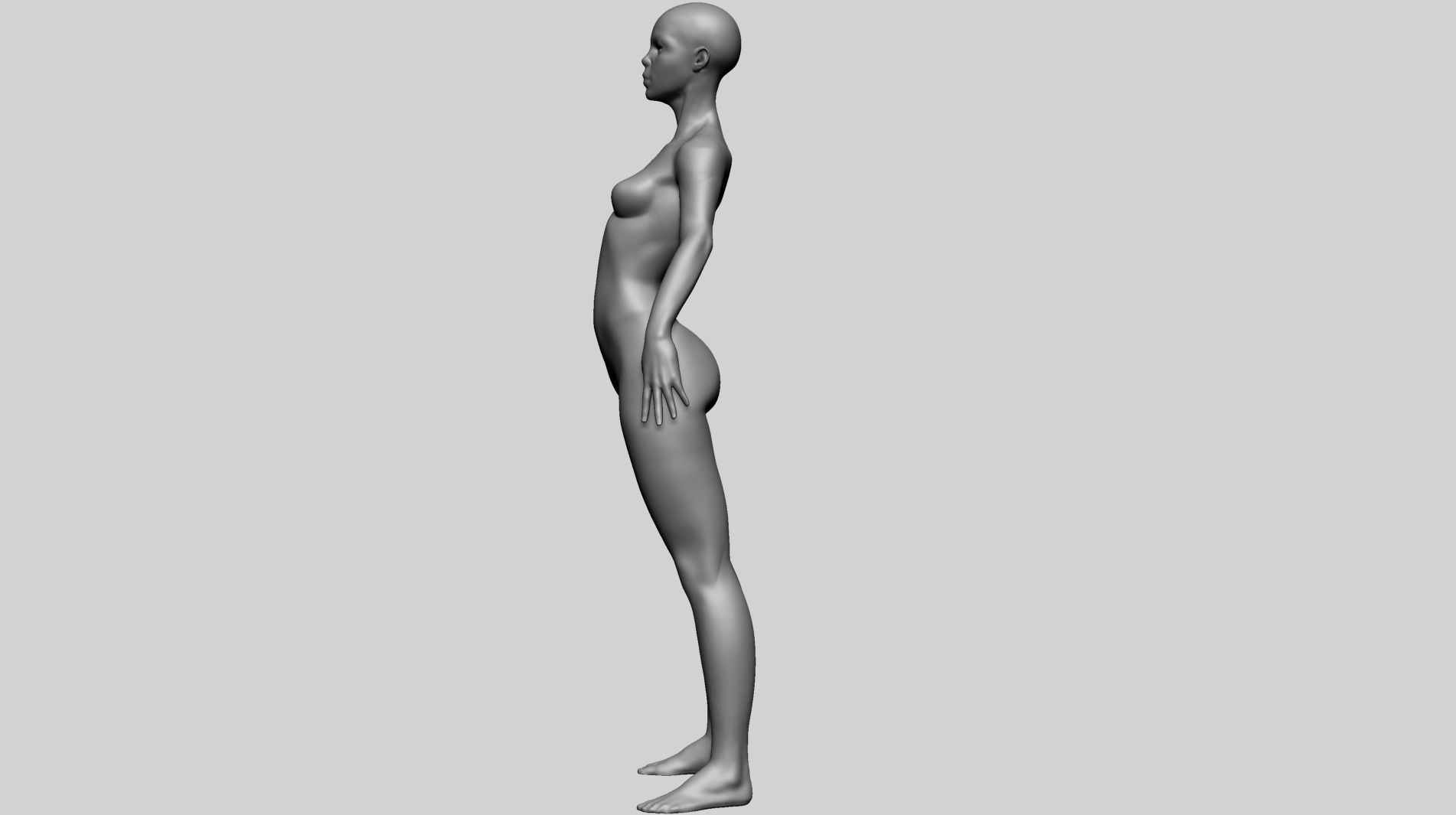 Stylized Female Anatomy - Base 3D model_7