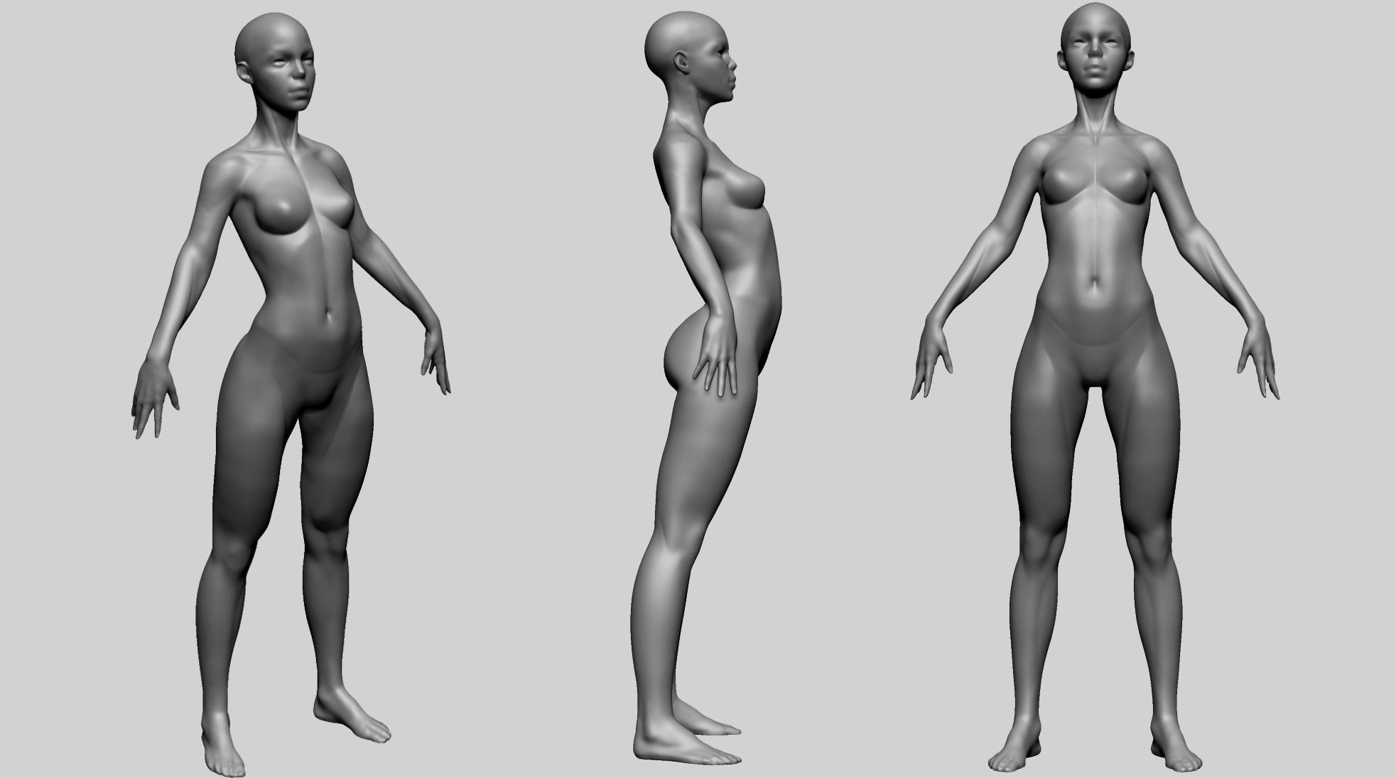 Stylized Female Anatomy - Base 3D model_1