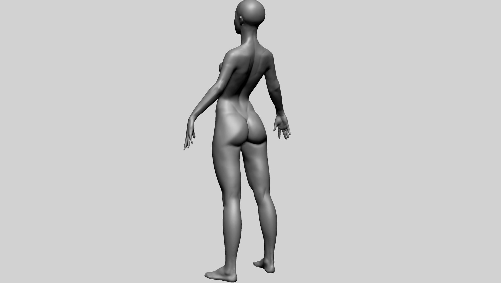 Stylized Female Anatomy - Base 3D model_6