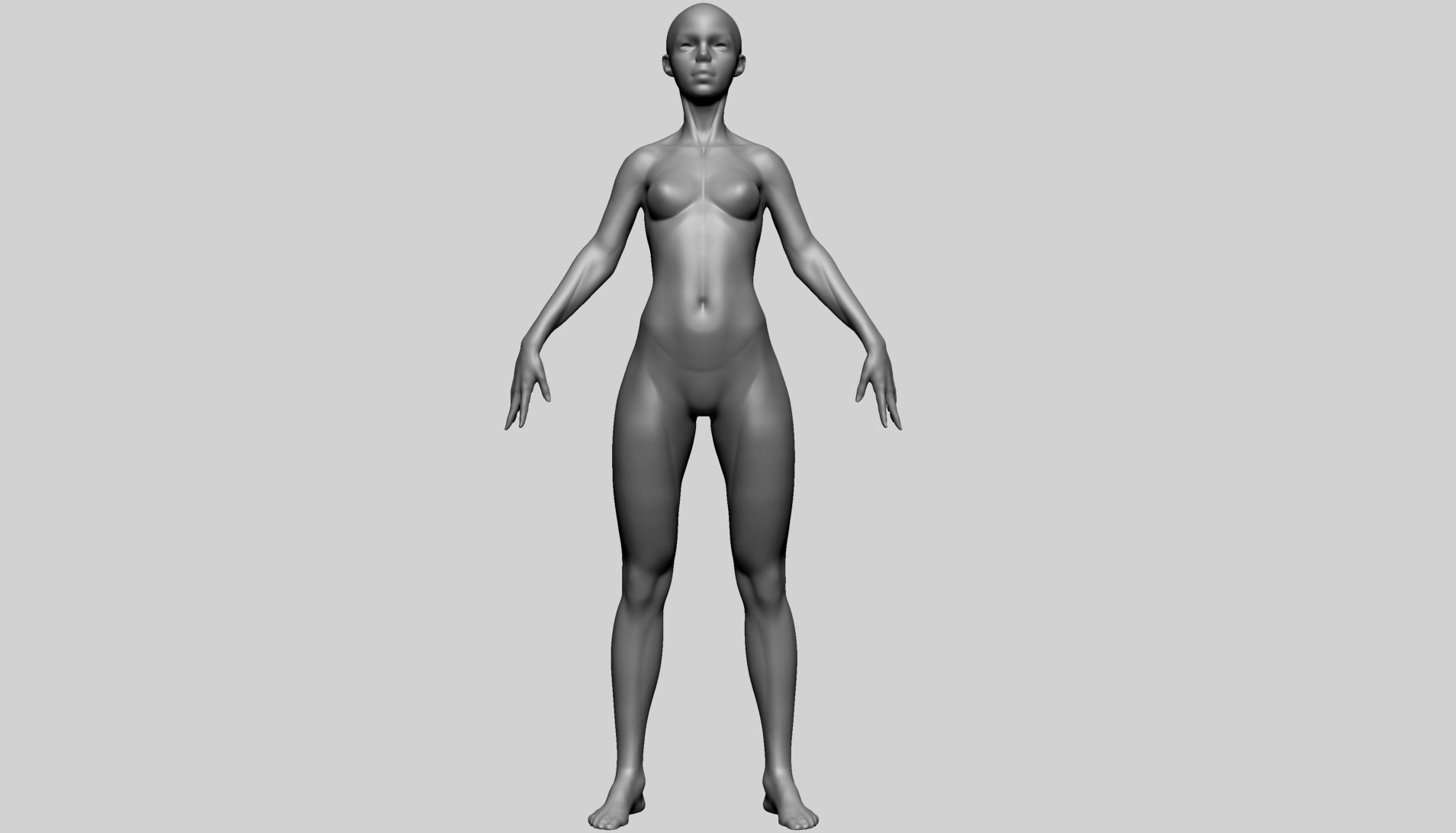 Stylized Female Anatomy - Base 3D model_2