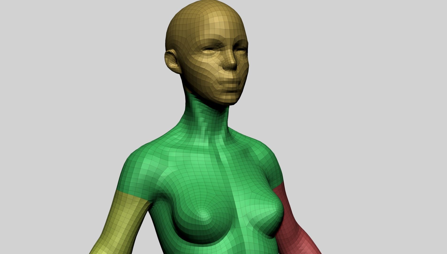 Stylized Female Anatomy - Base 3D model_12