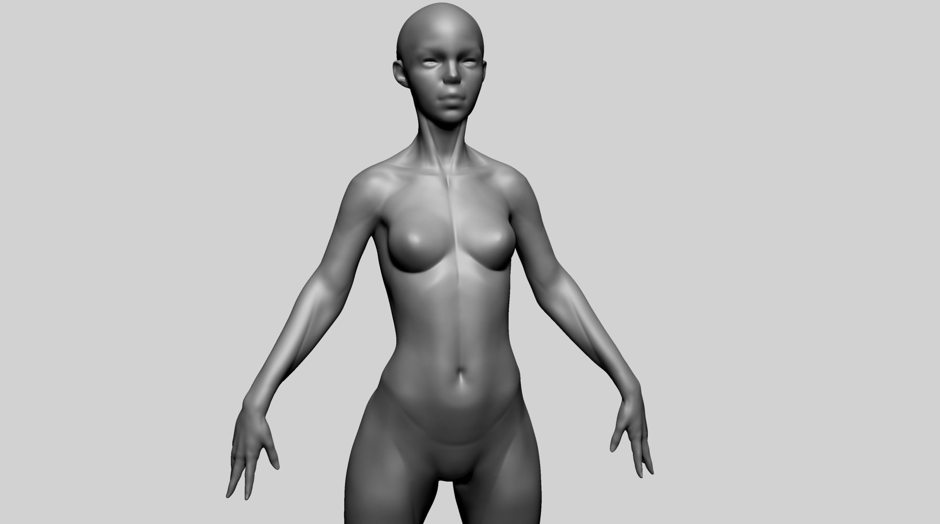 Stylized Female Anatomy - Base 3D model_9