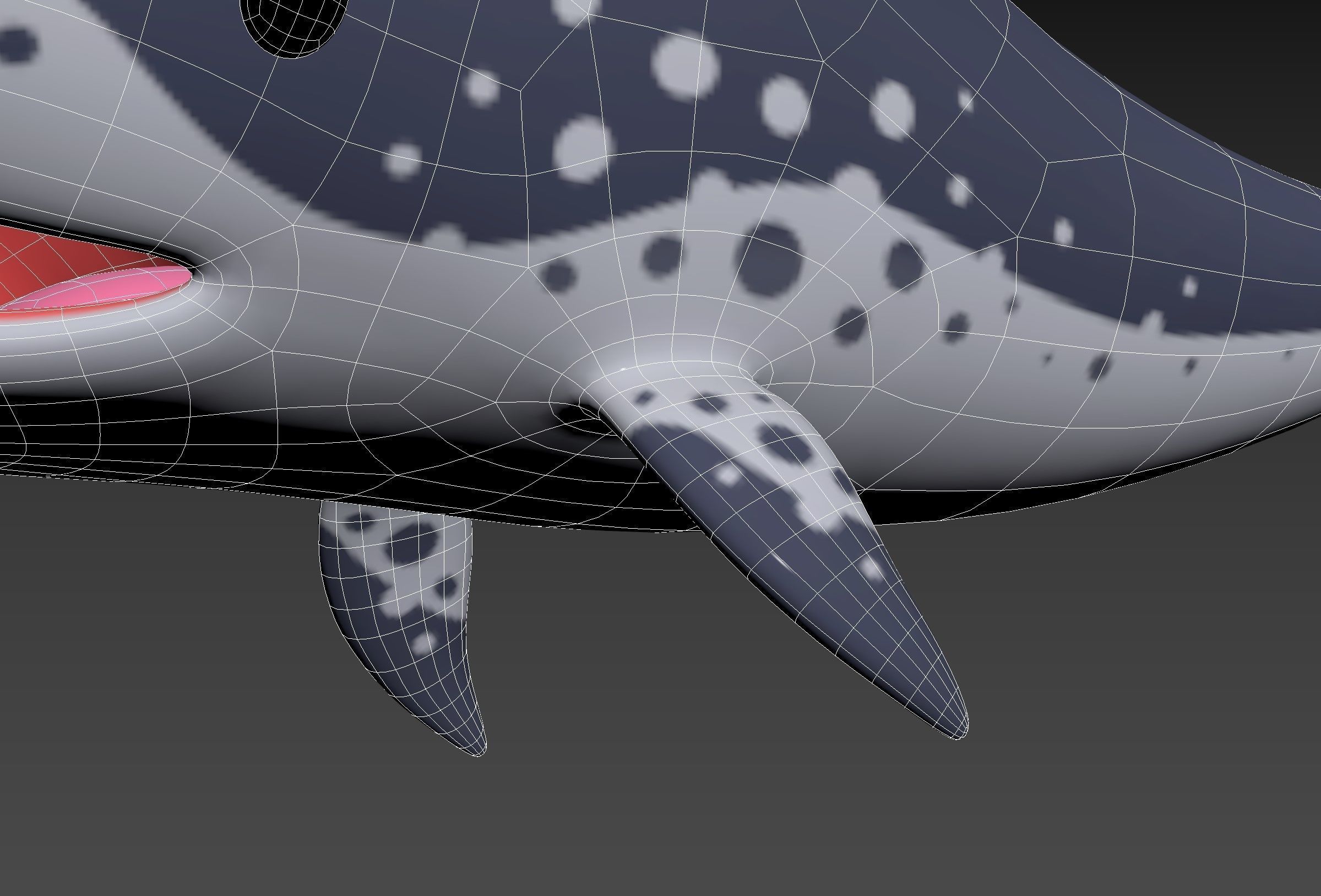 Character283 Narwhal 3D model_28