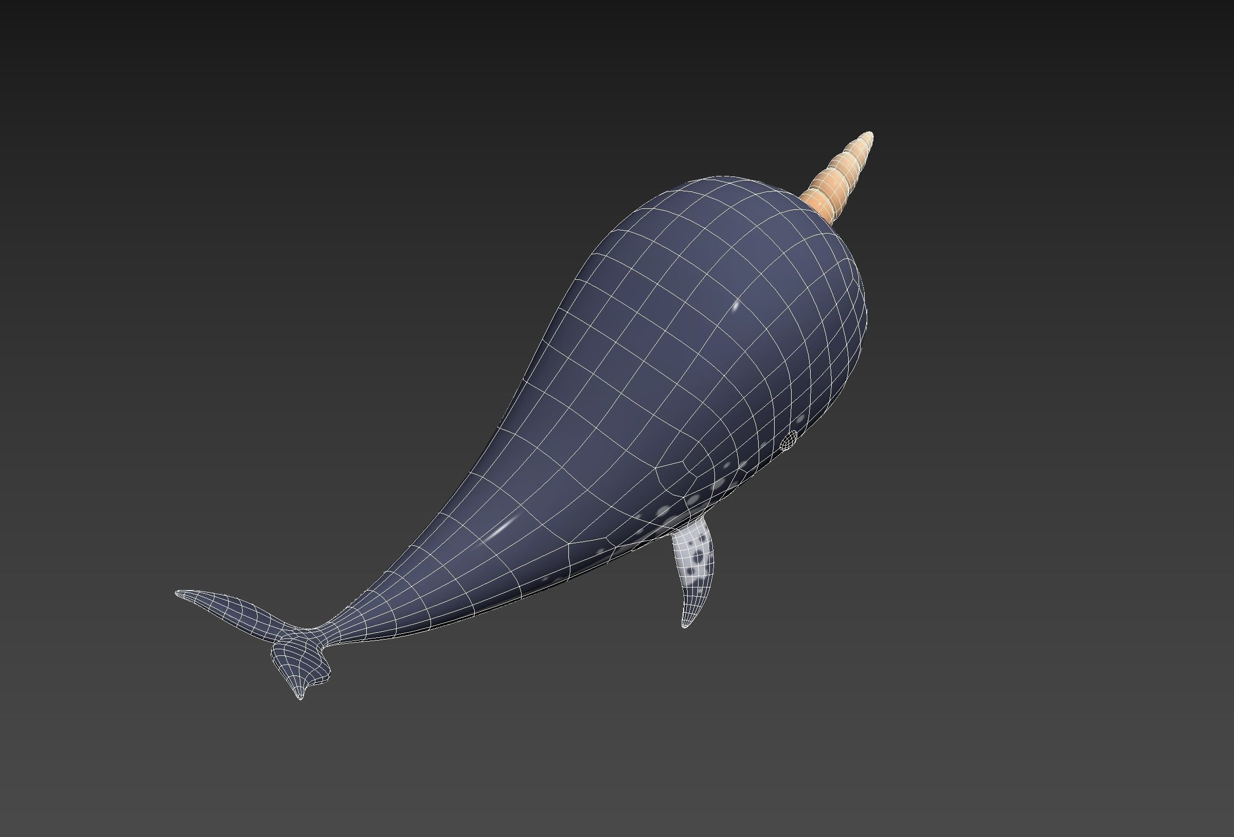 Character283 Narwhal 3D model_25