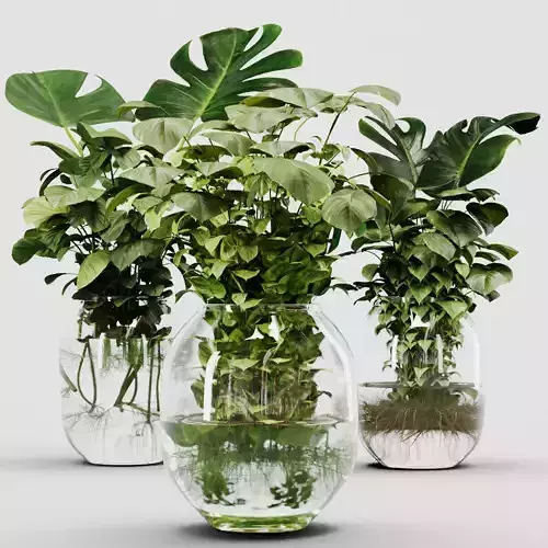 Indoor Plant Set 02 ivy in jar 3D model