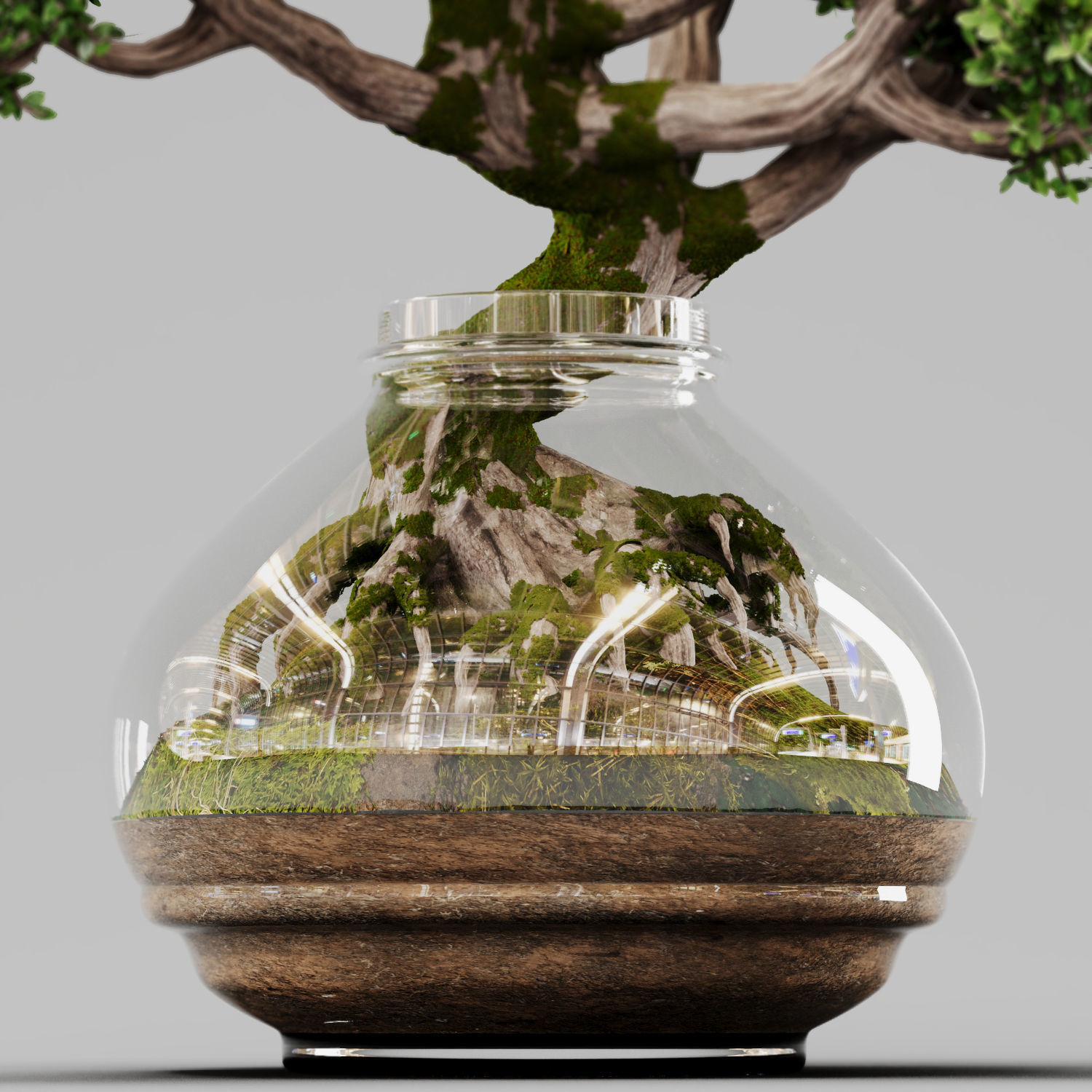 Bonsai Tree Indoor Plant 02 3D model_1