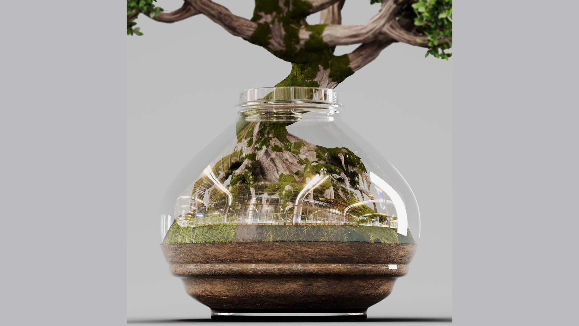 Bonsai Tree Indoor Plant 02 3D model_8