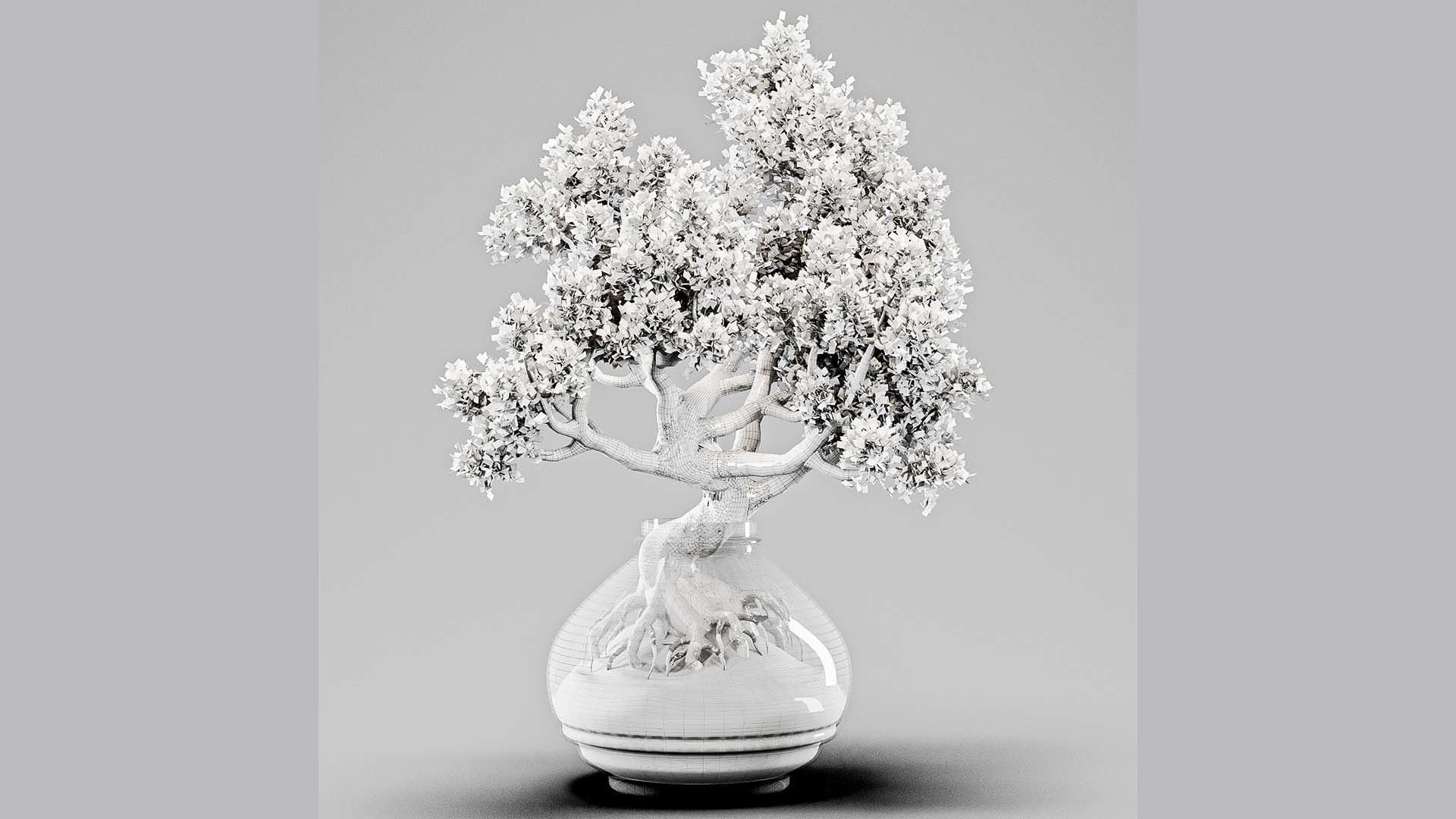 Bonsai Tree Indoor Plant 02 3D model_11