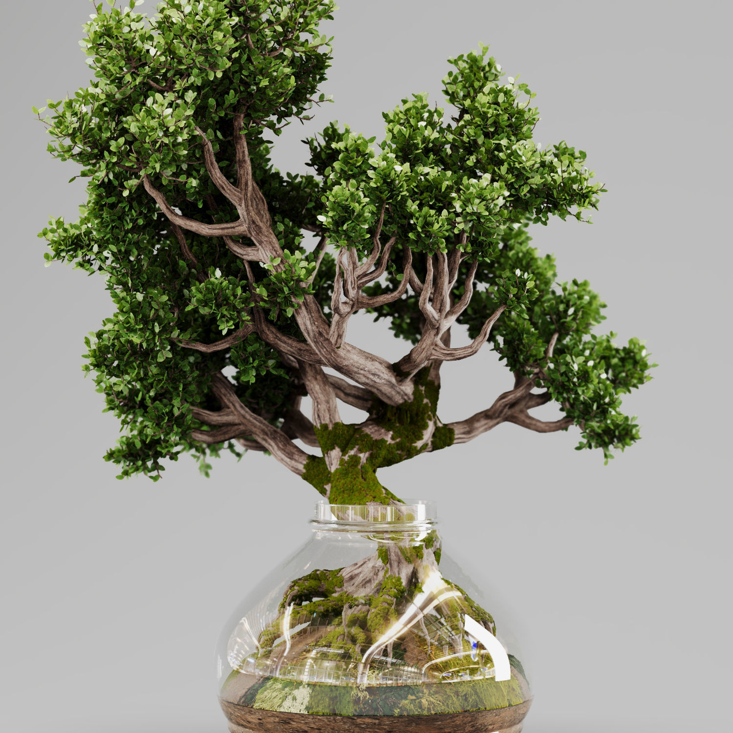 Bonsai Tree Indoor Plant 02 3D model_14