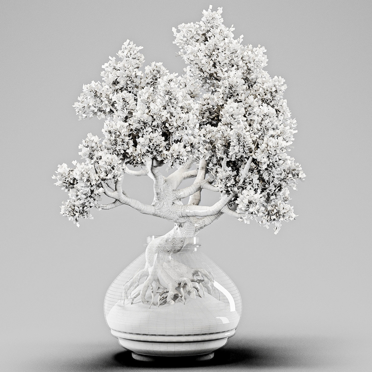Bonsai Tree Indoor Plant 02 3D model_5