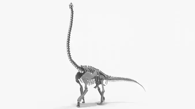 Brachiosaurus Rigged Skeleton Low-poly 3D model