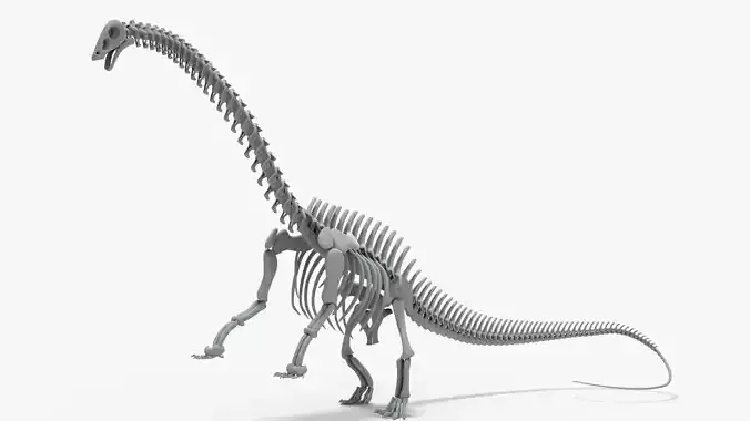 Brontosaurus Rigged Skeleton Low-poly 3D model
