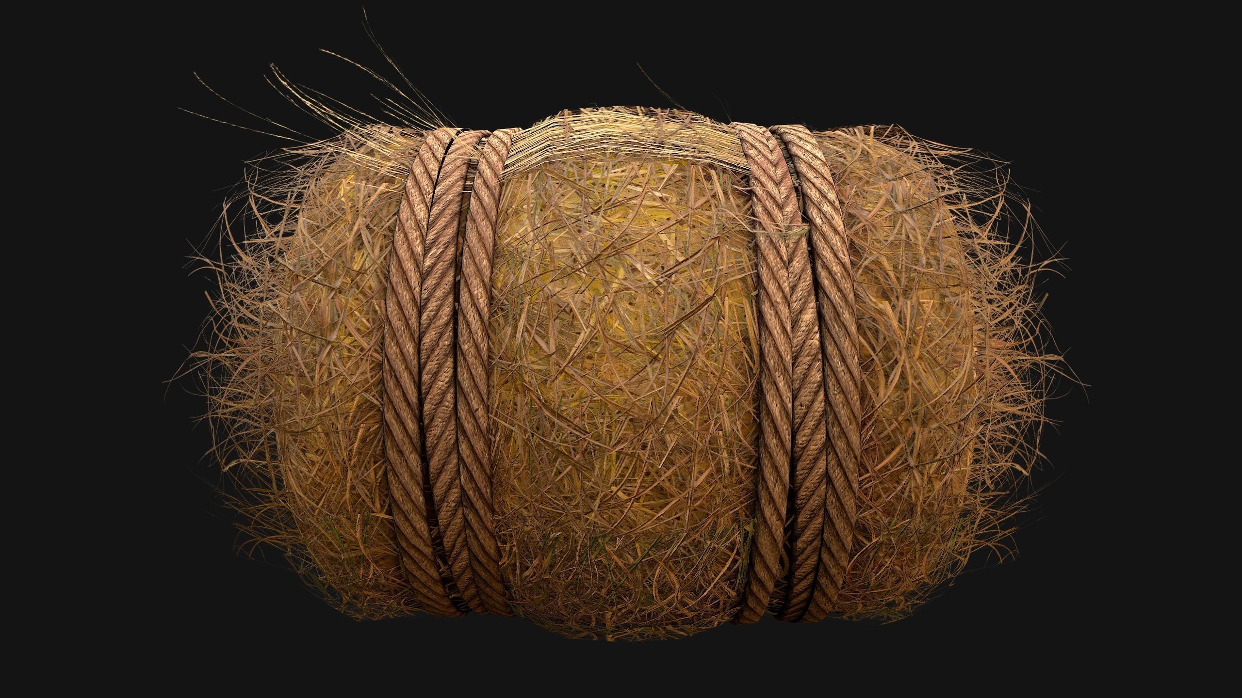 Hay Bale Square and Round Low-poly 3D model_13