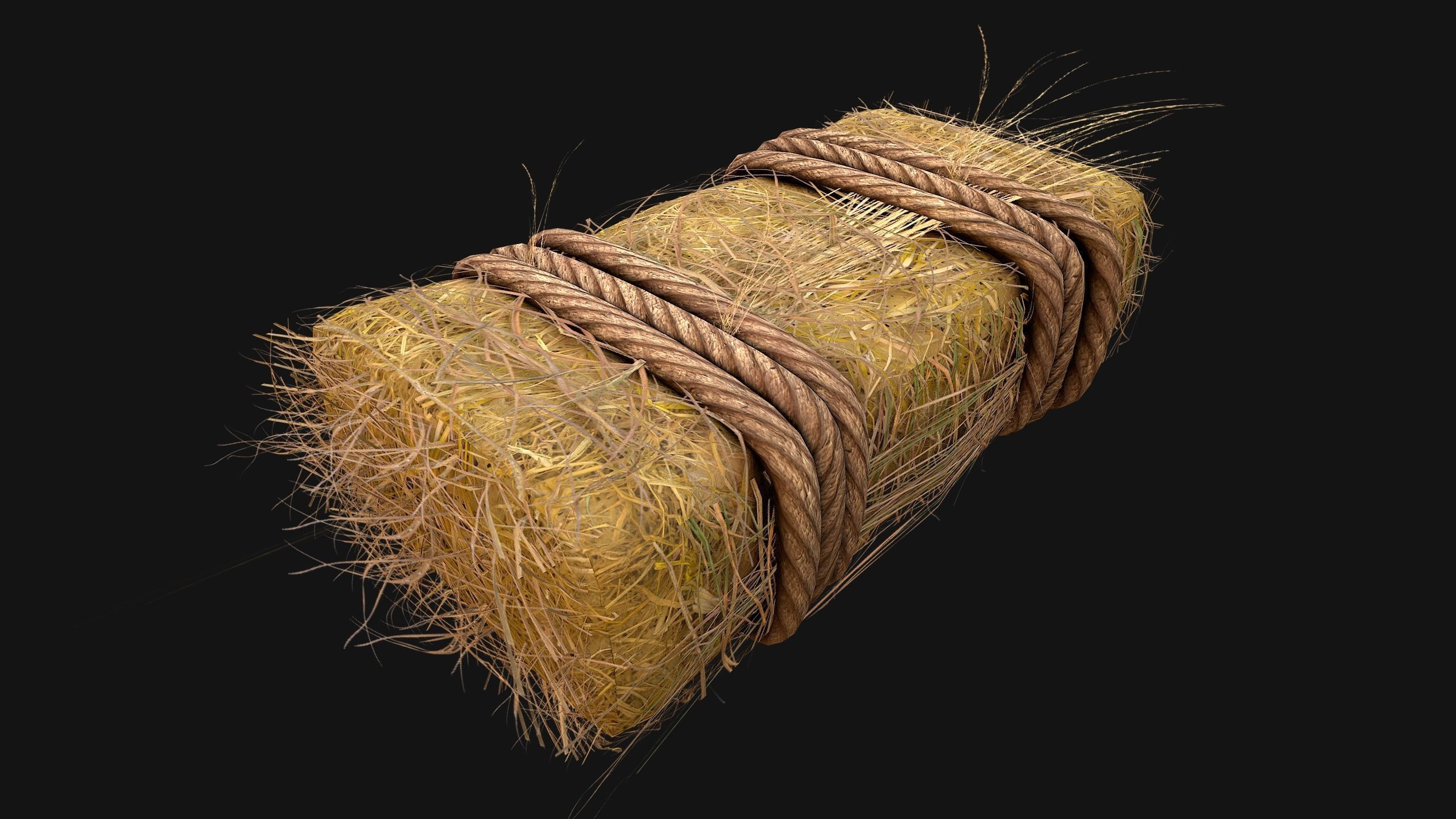 Hay Bale Square and Round Low-poly 3D model_19