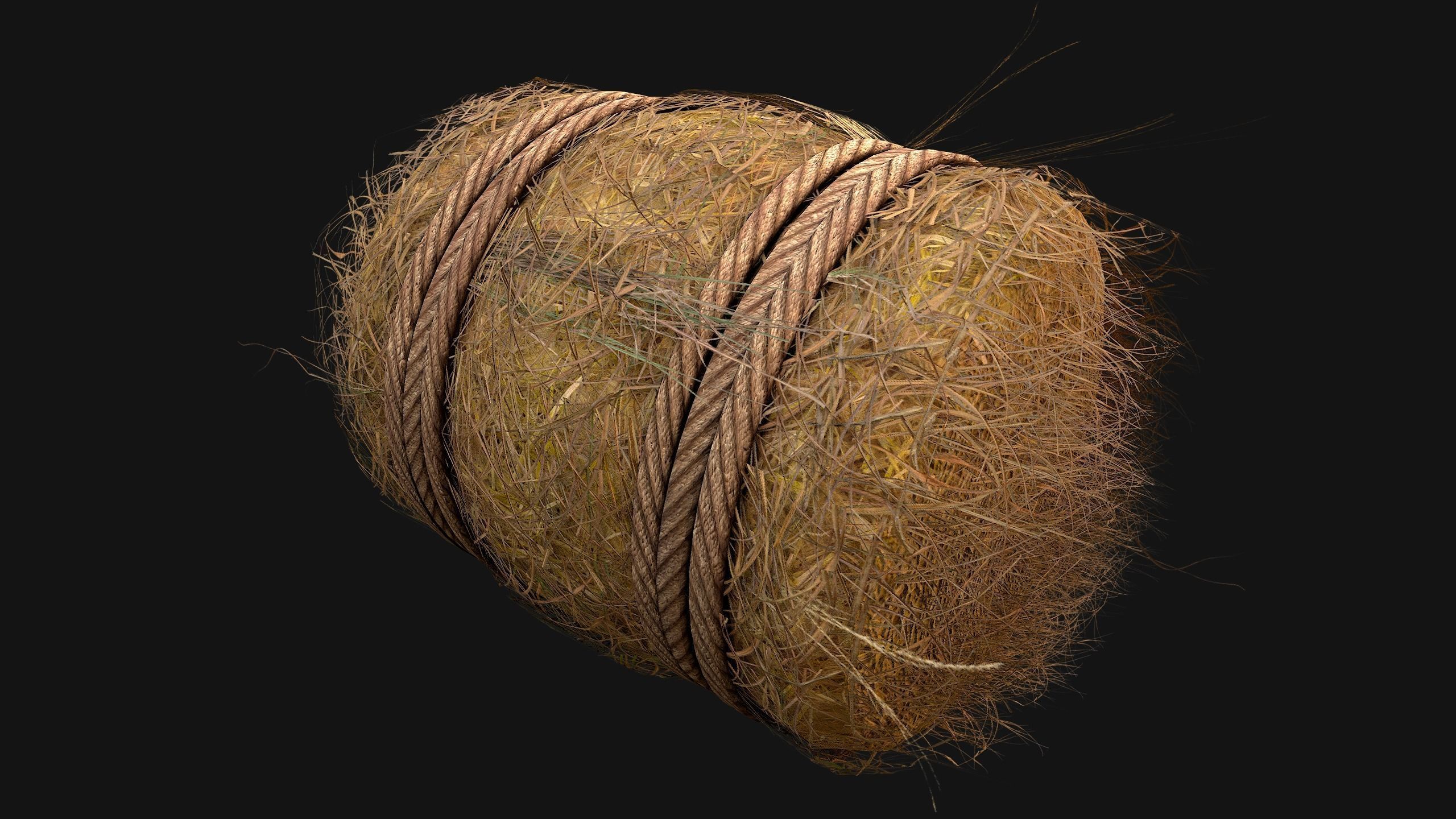Hay Bale Square and Round Low-poly 3D model_15
