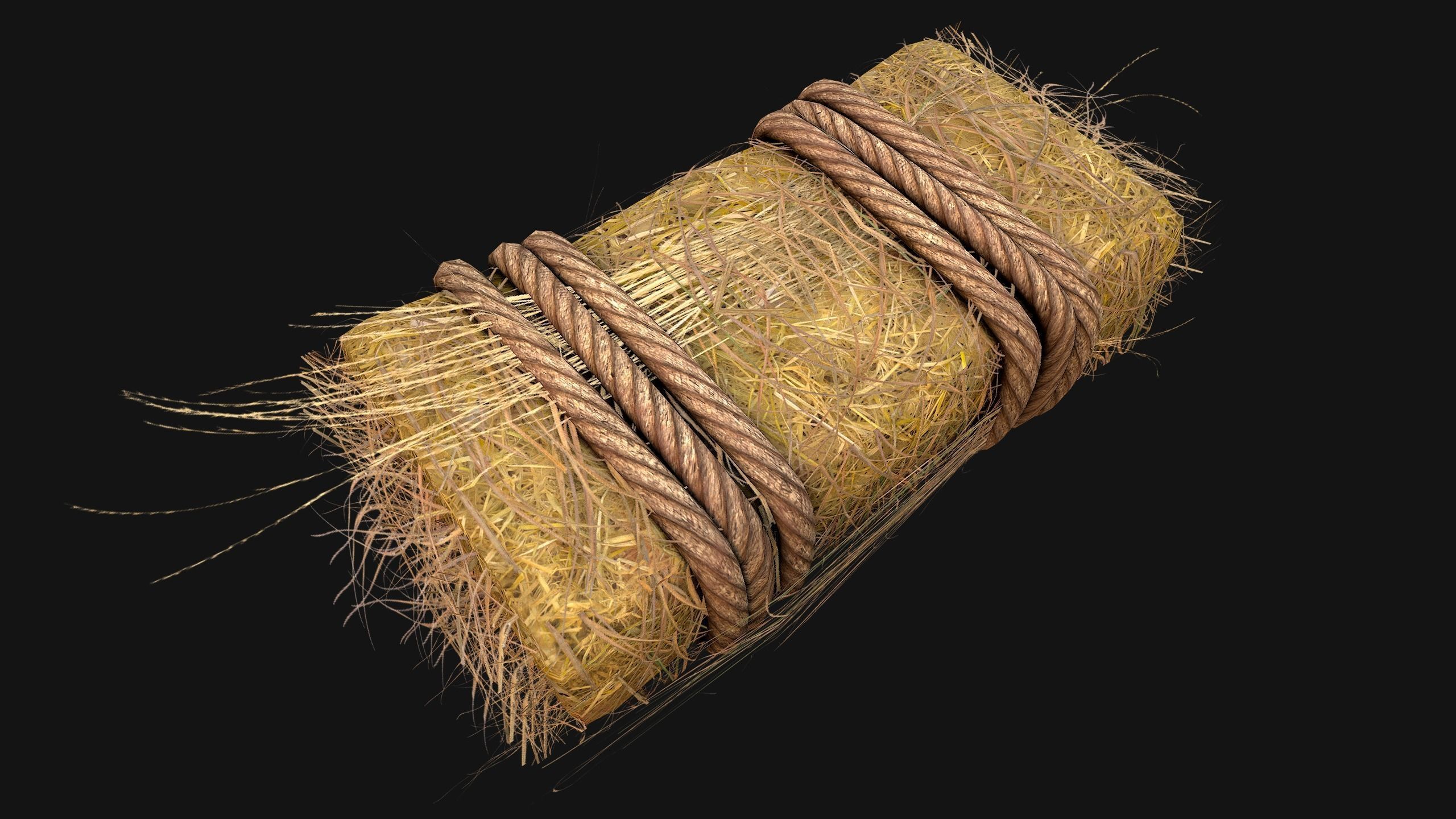 Hay Bale Square and Round Low-poly 3D model_18