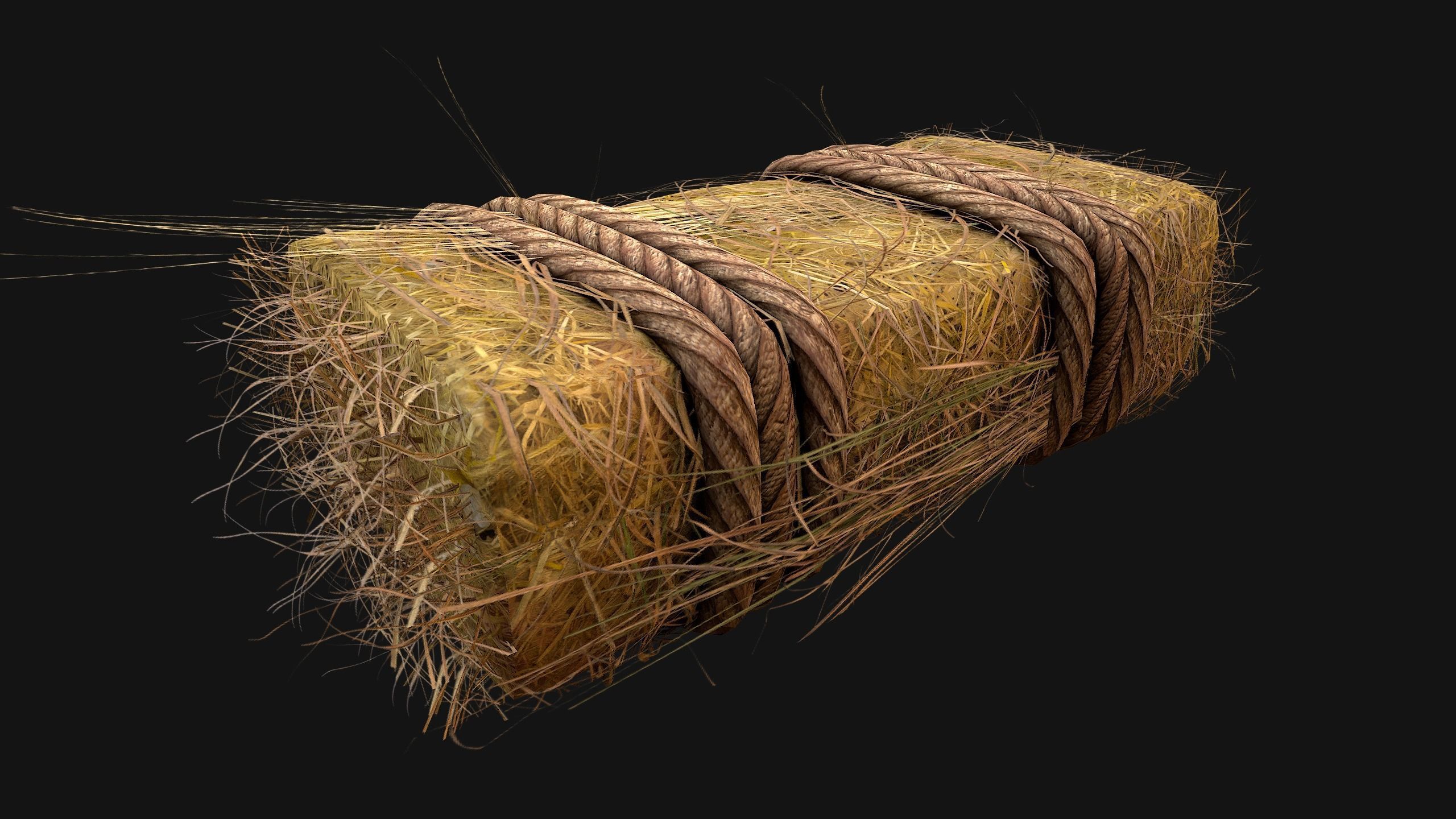 Hay Bale Square and Round Low-poly 3D model_17