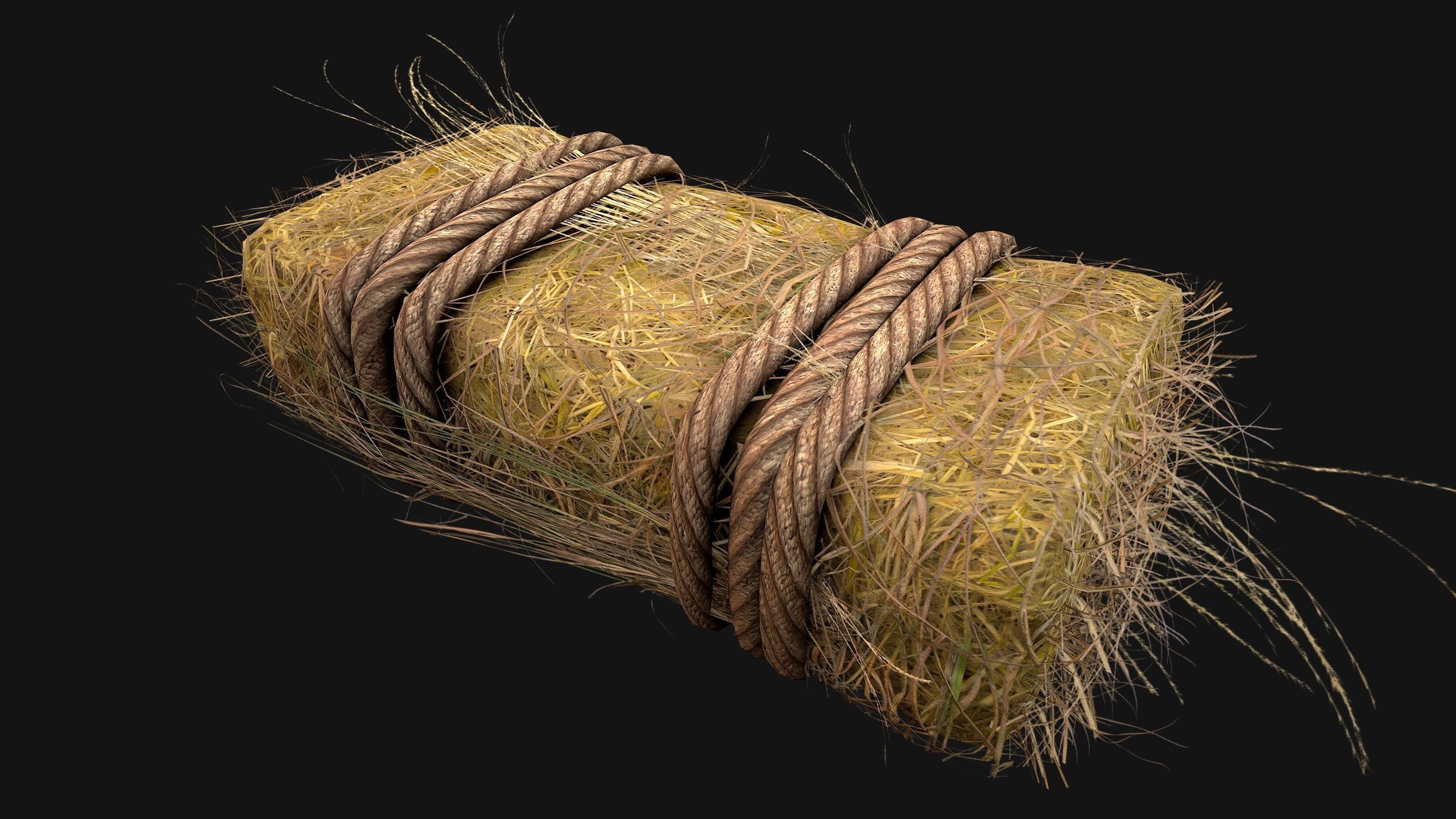 Hay Bale Square and Round Low-poly 3D model_16