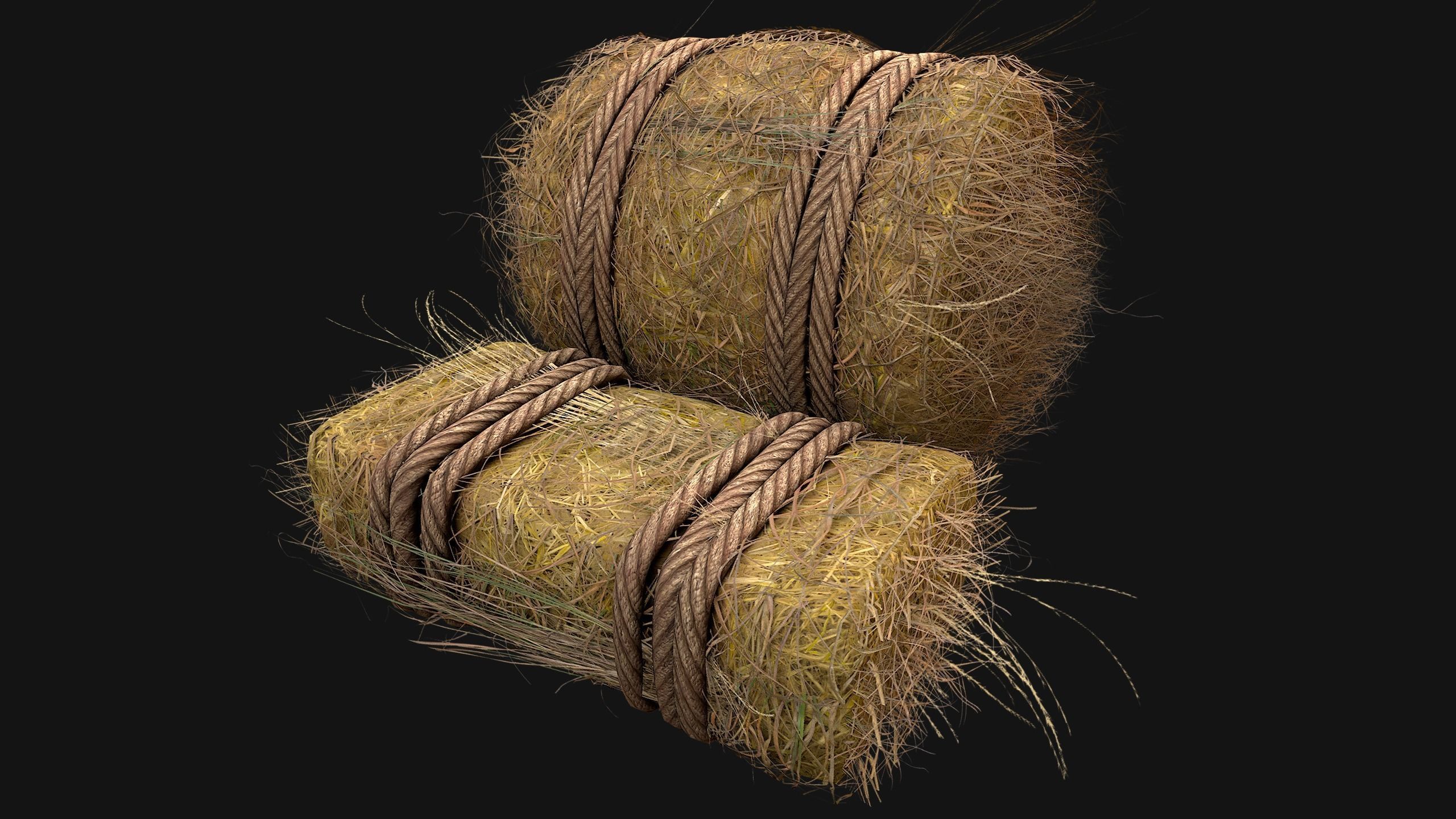 Hay Bale Square and Round Low-poly 3D model_9