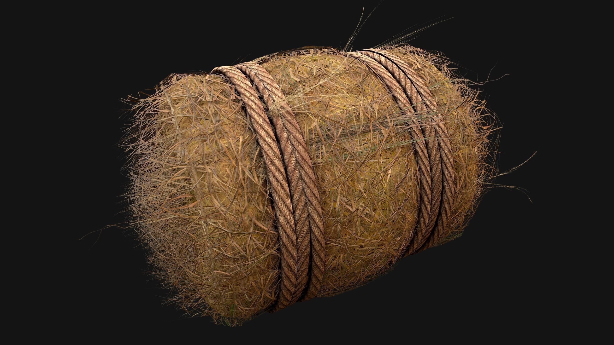 Hay Bale Square and Round Low-poly 3D model_11