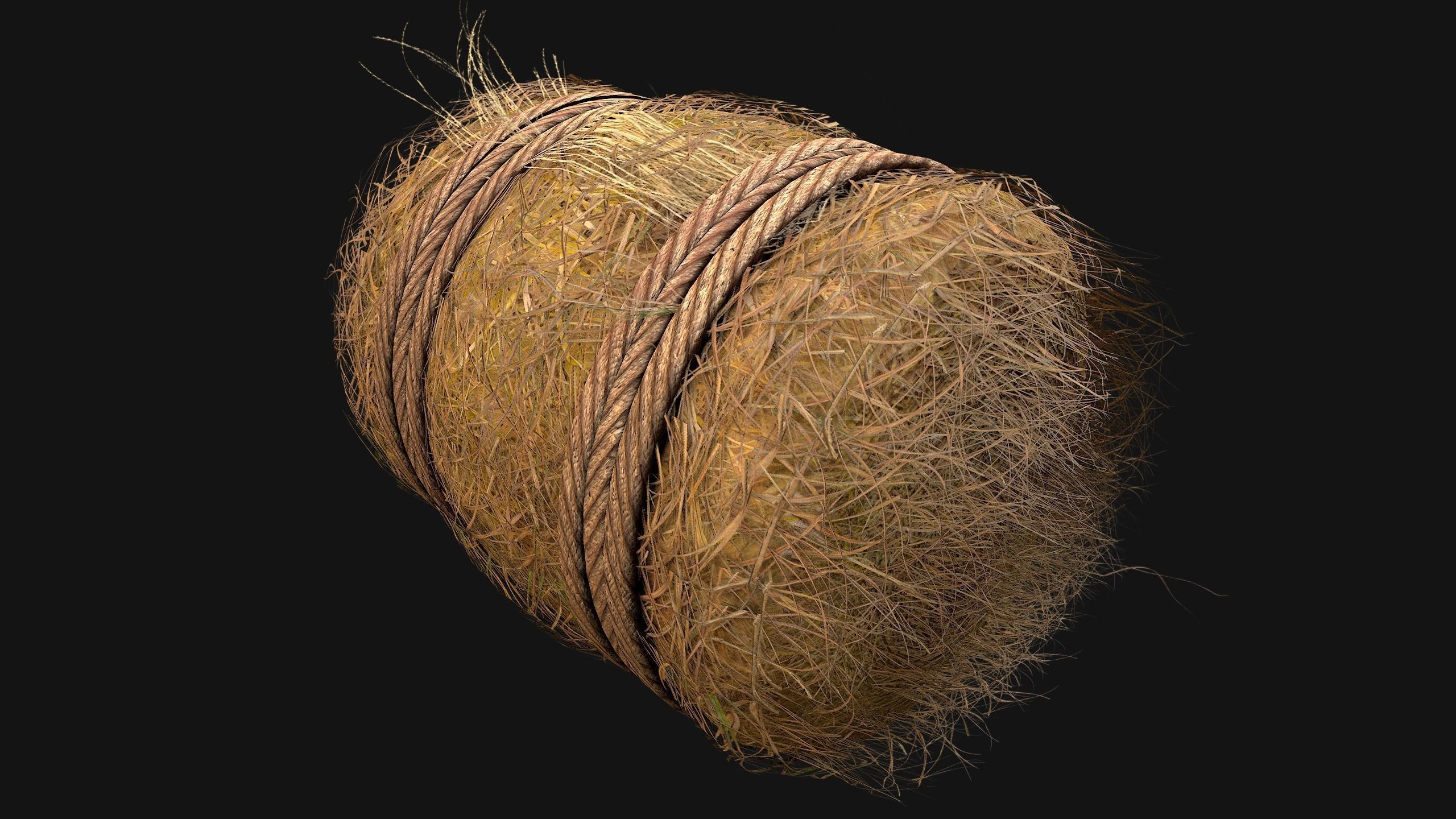 Hay Bale Square and Round Low-poly 3D model_12