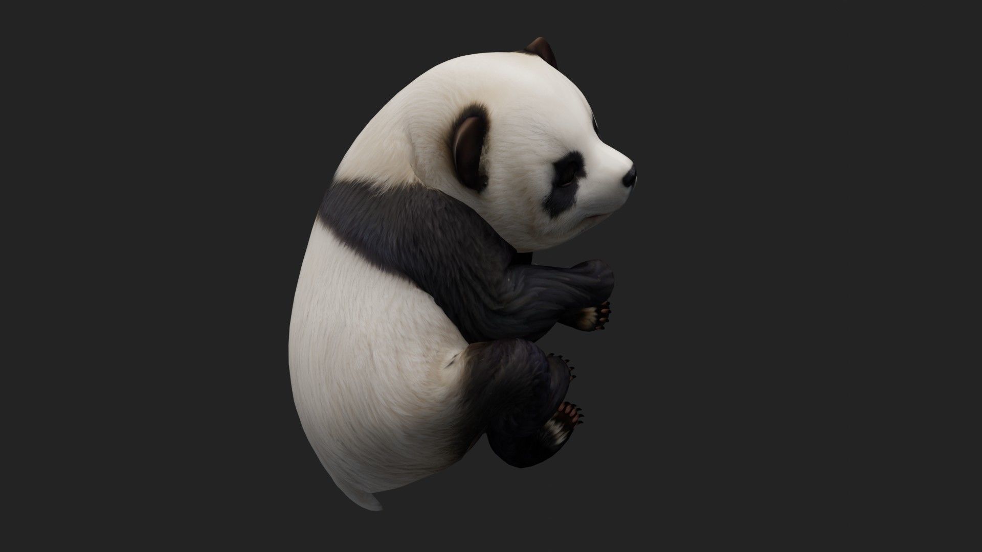 Panda A2 3D model_16