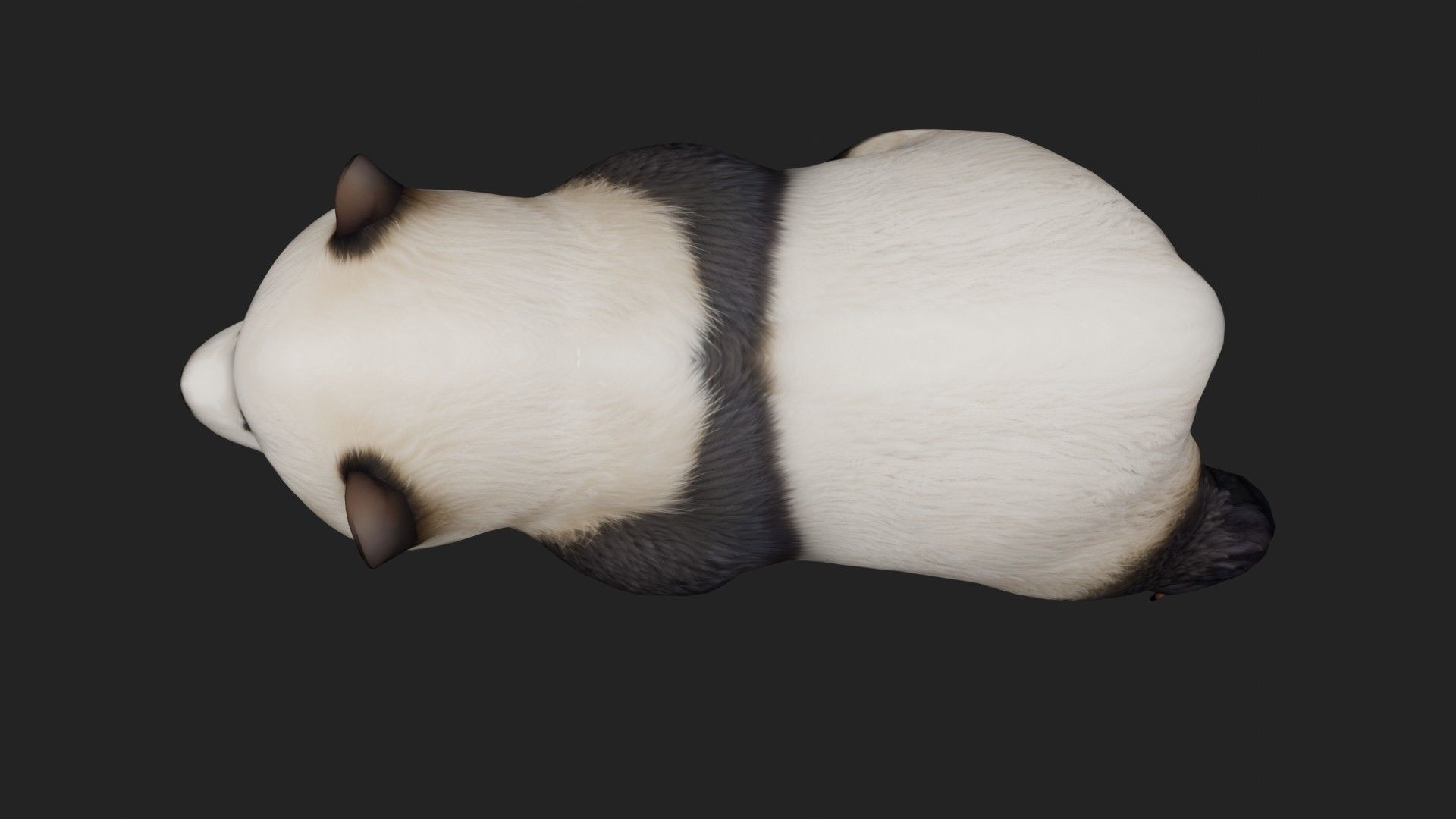 Panda A2 3D model_10