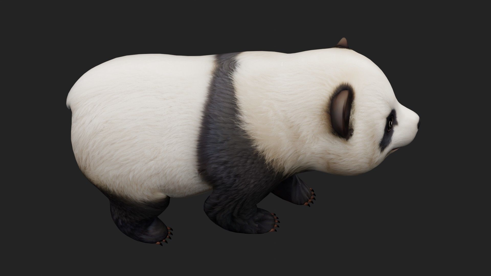 Panda A2 3D model_15