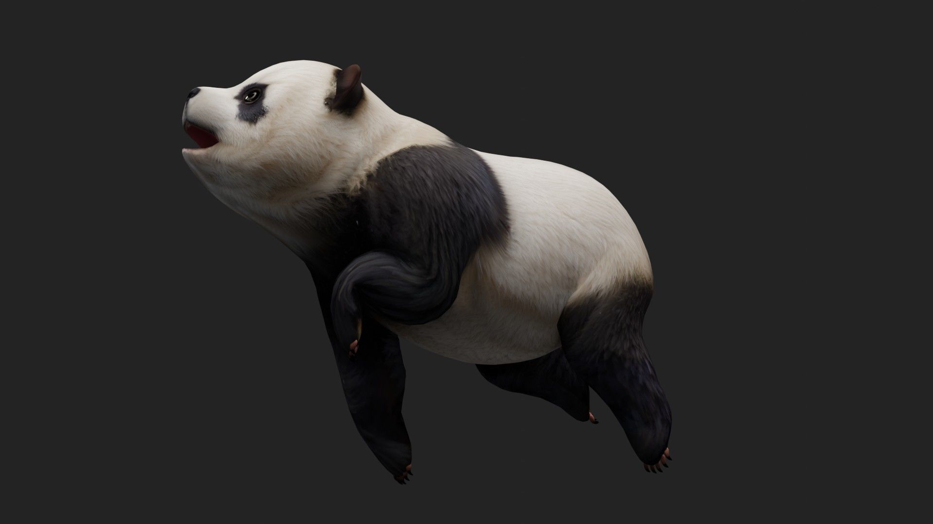 Panda A2 3D model_4