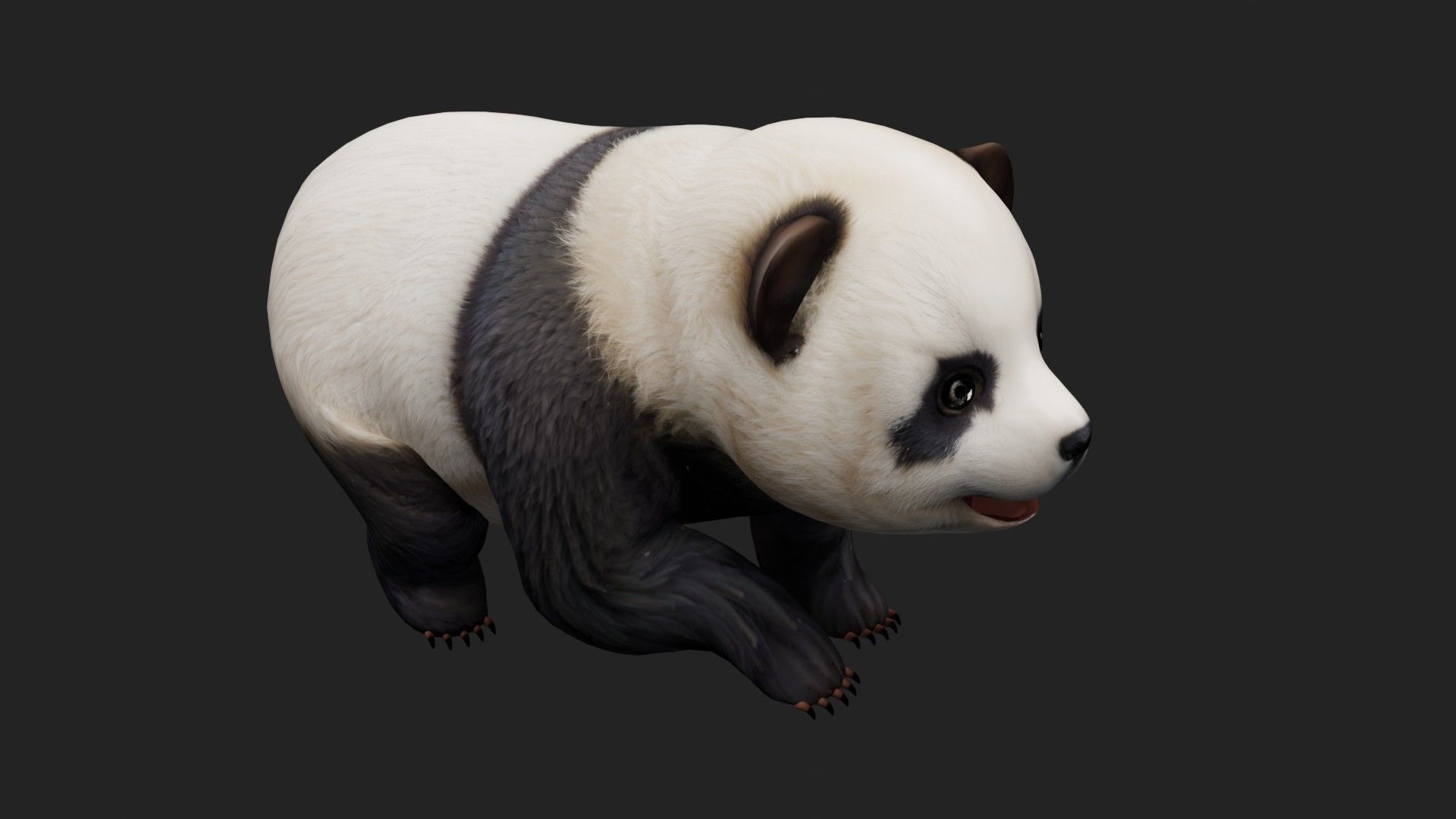 Panda A2 3D model_9