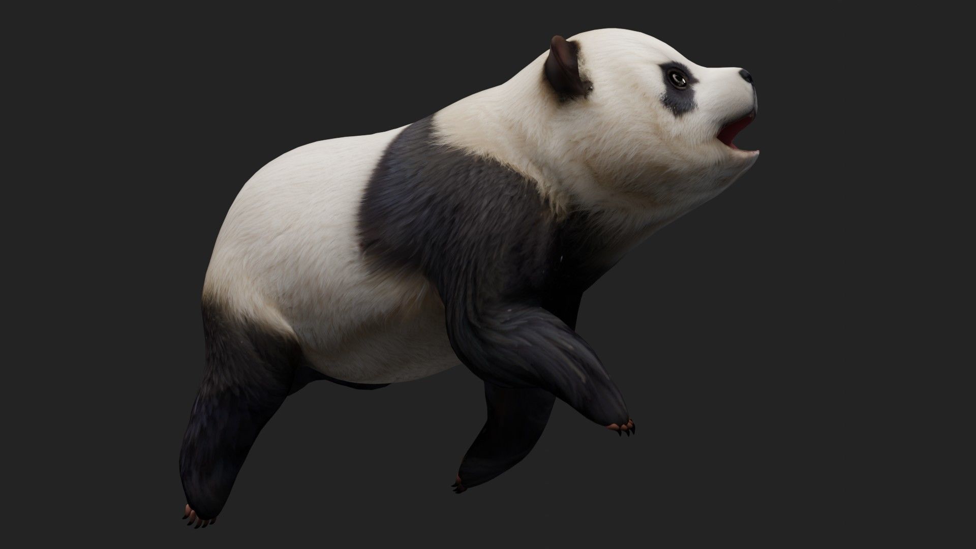 Panda A2 3D model_5