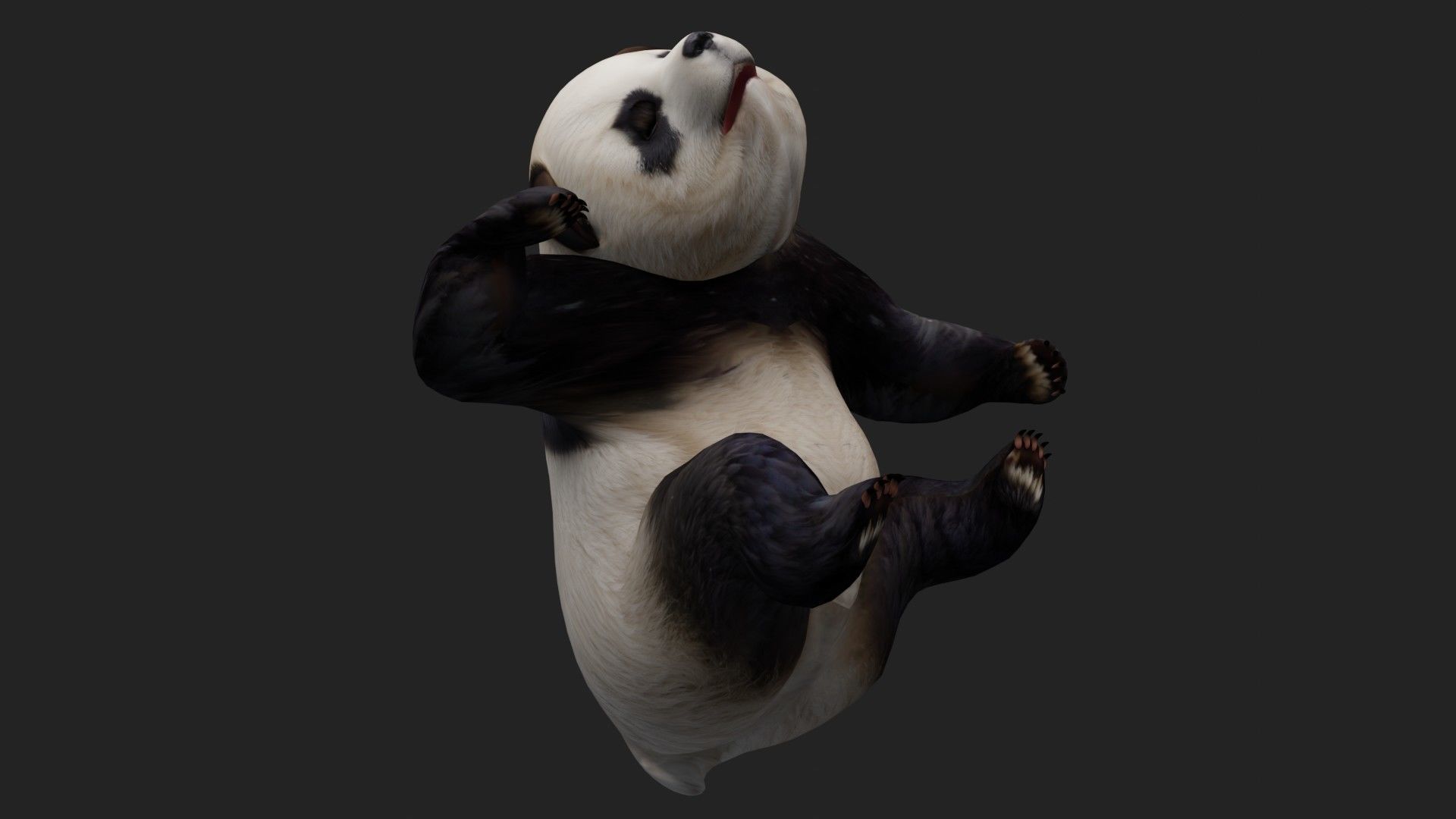 Panda A2 3D model_13