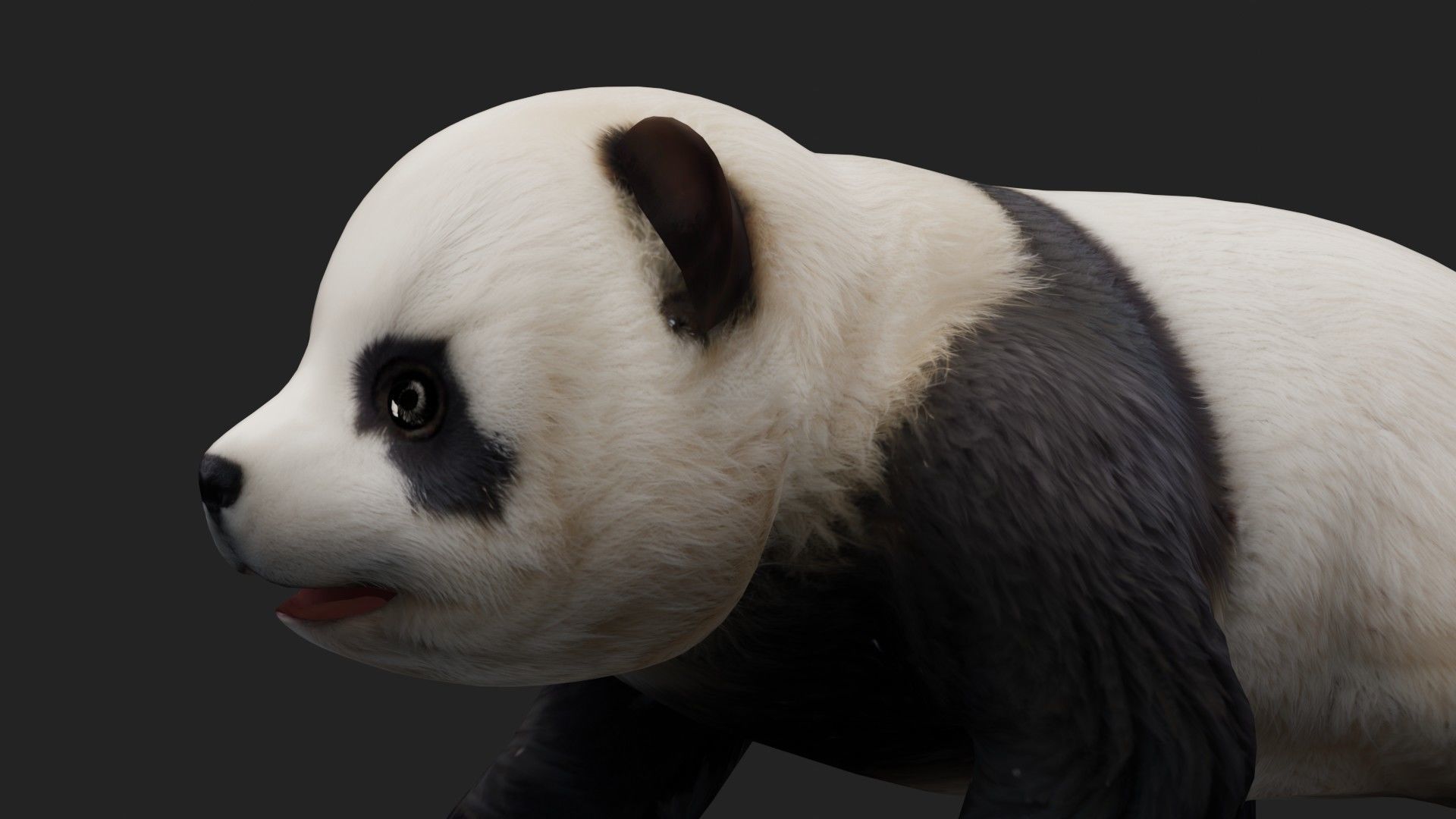 Panda A2 3D model_11